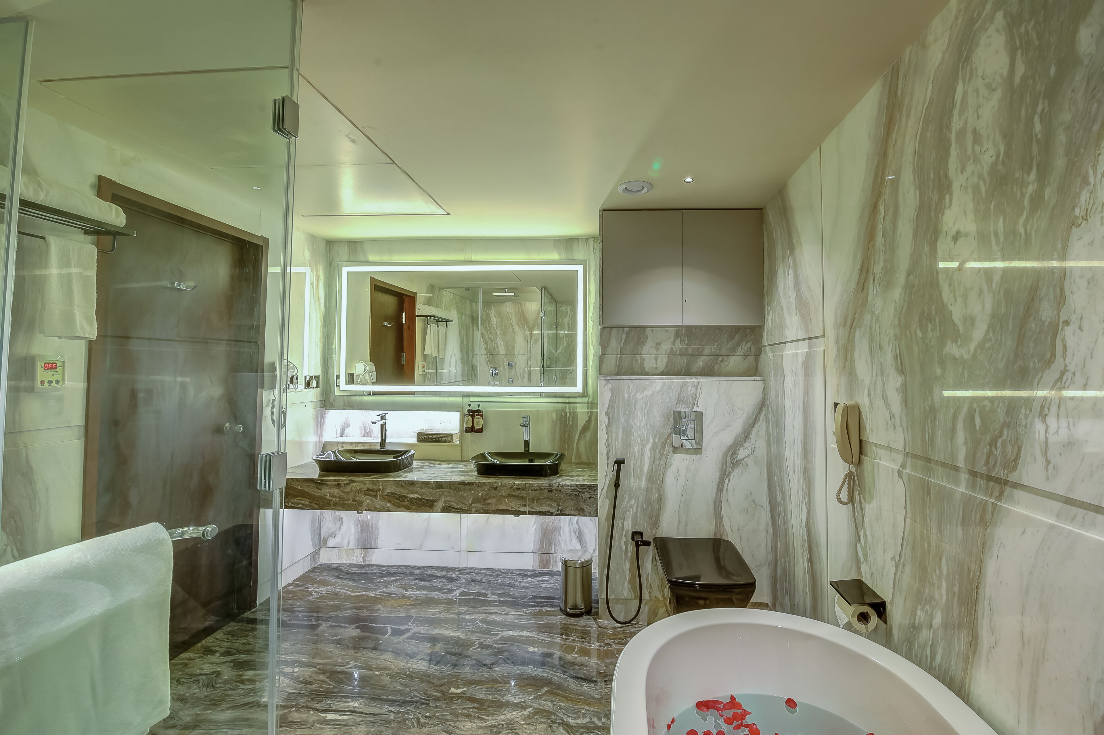 Regenta Central, Javaji, Mysore