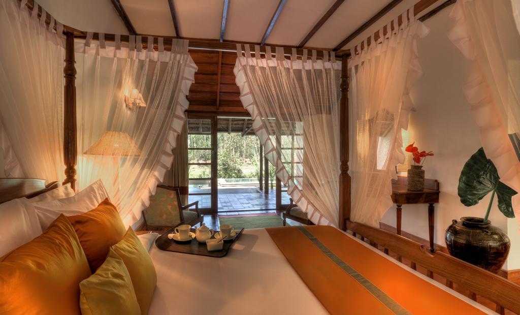 Evolve Back, Coorg