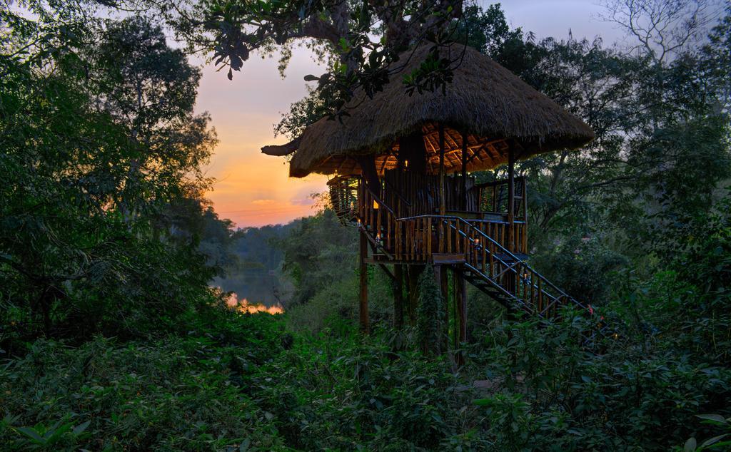 Evolve Back, Coorg