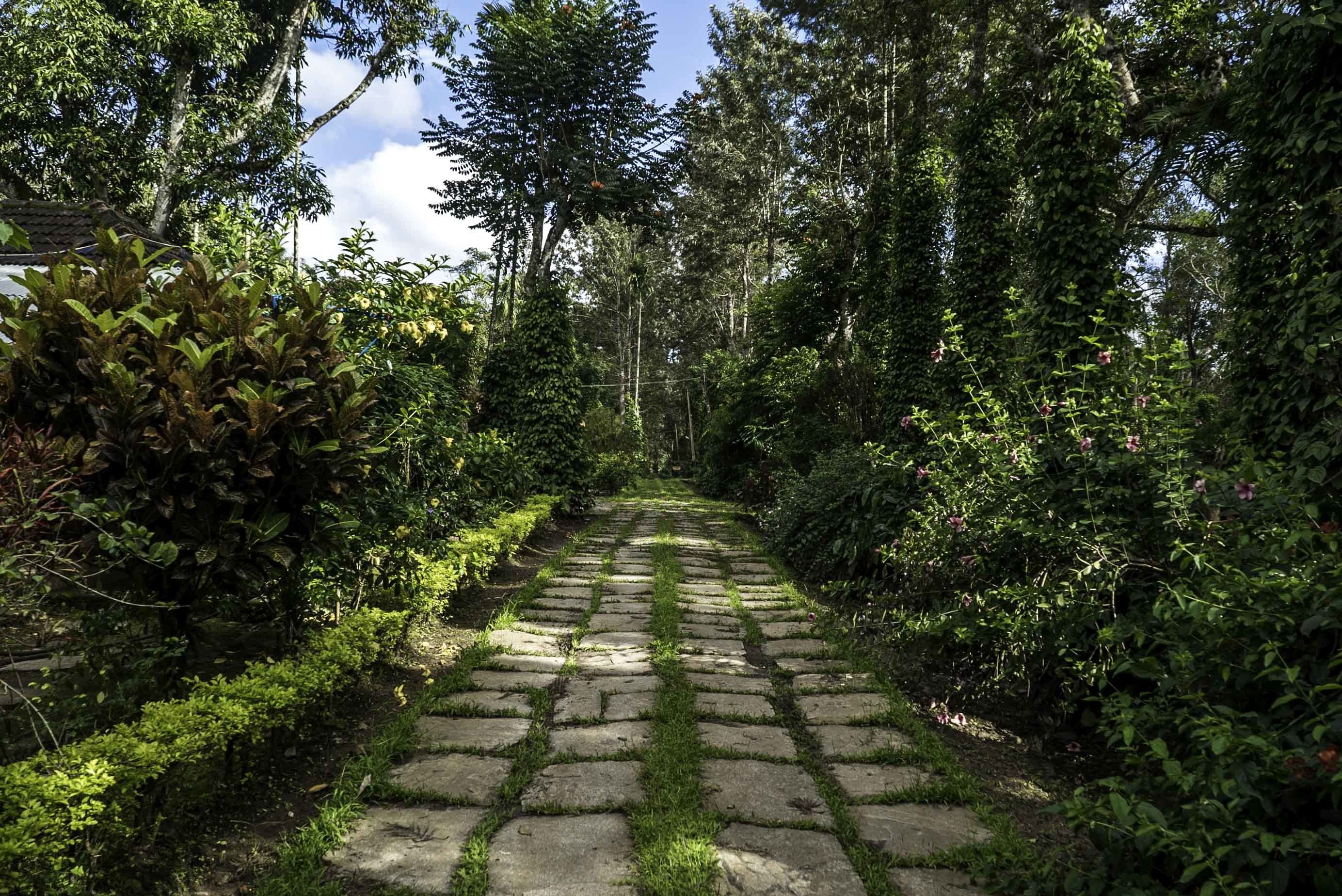Brindavan Estate Homestay A Wandertrails Showcase