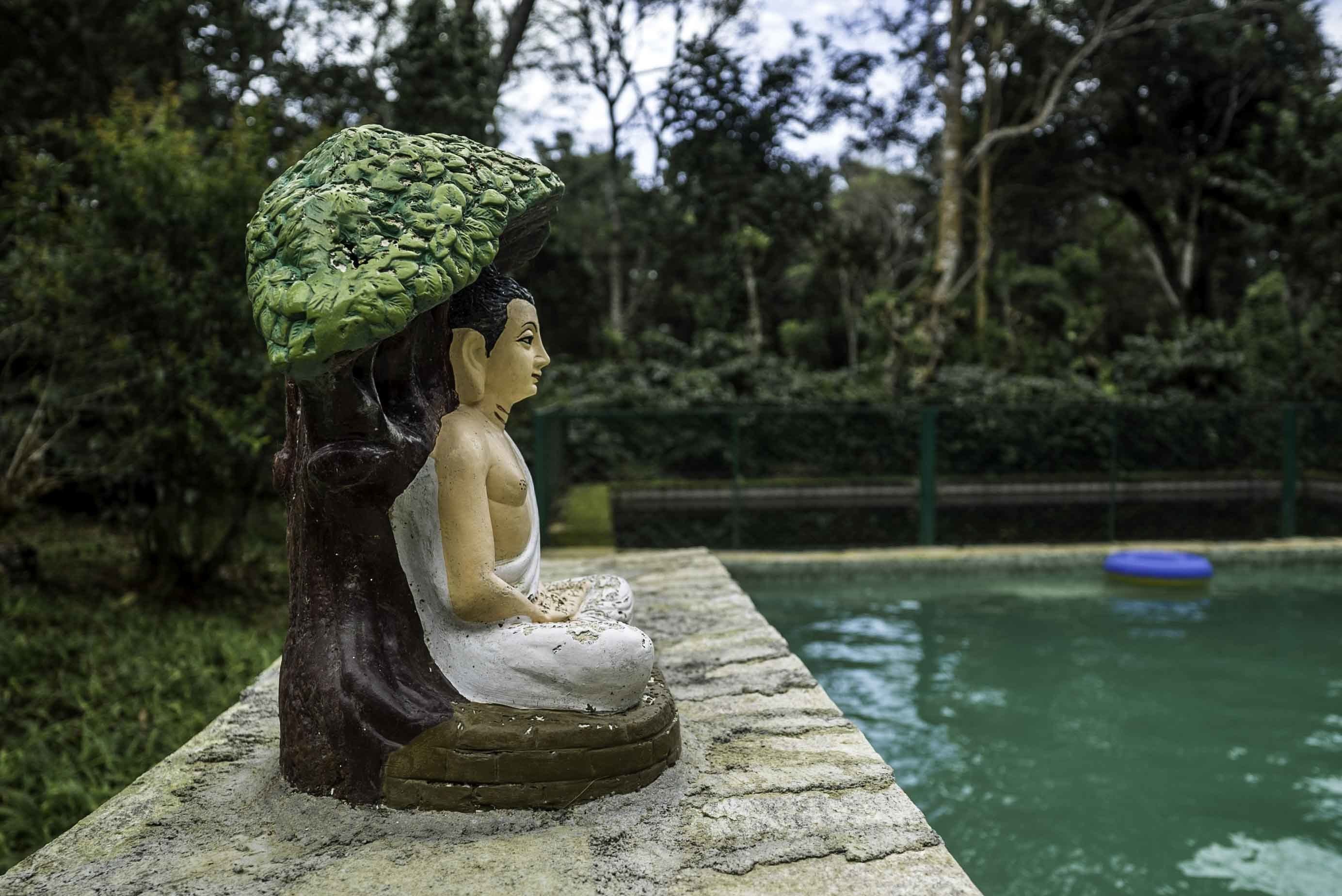Brindavan Estate Homestay A Wandertrails Showcase