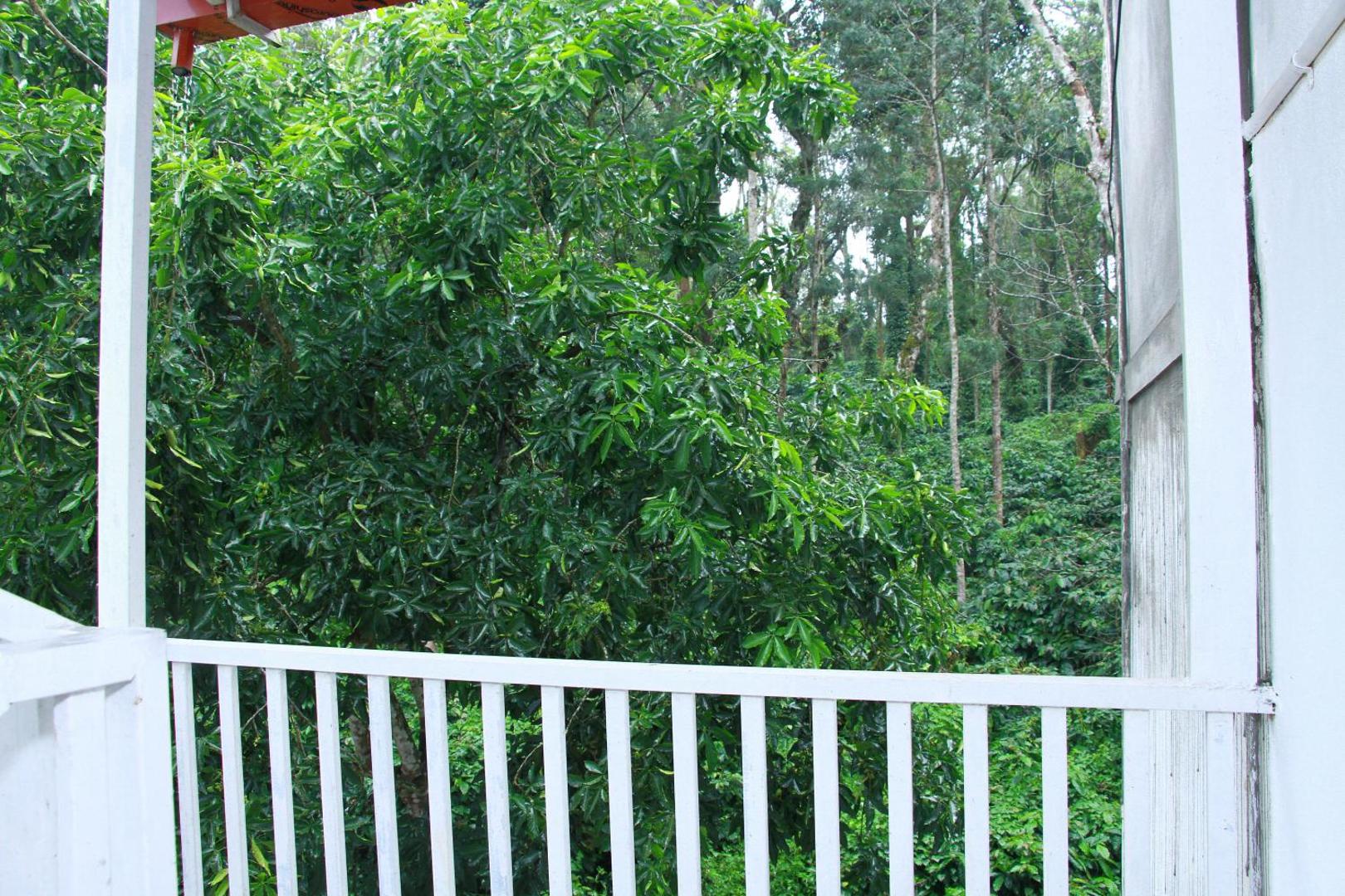Peaberry-A Nature Boutique Hotel