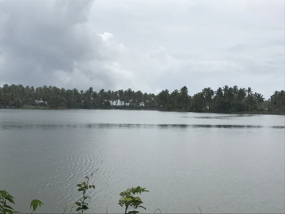 Paradise Lagoon