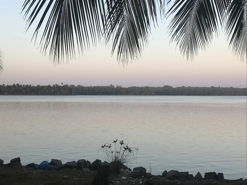 Paradise Lagoon