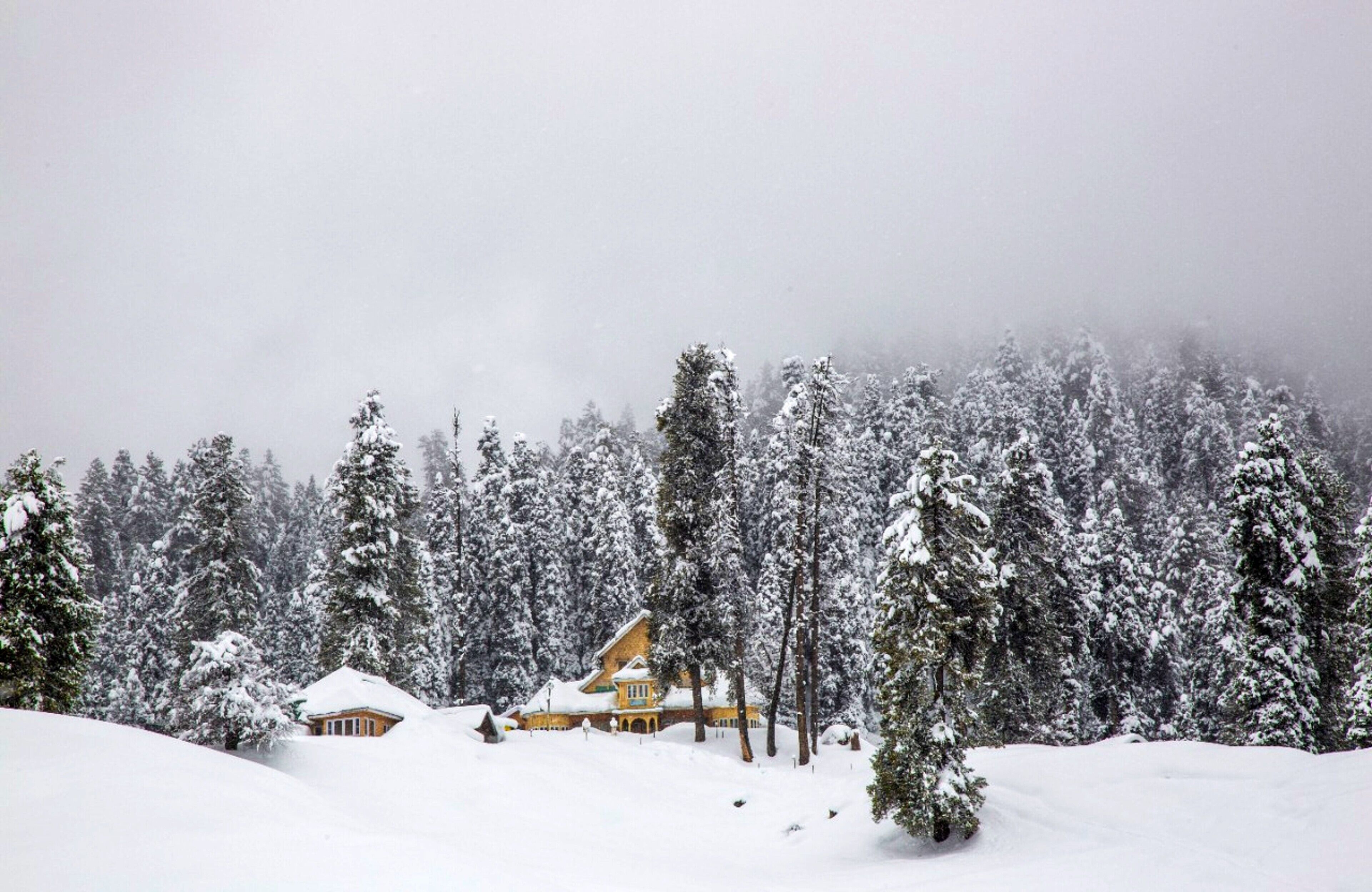 Gulmarg Ski Hill Resort