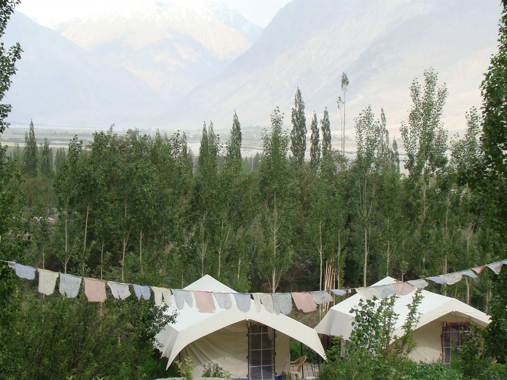 Double Humped Camp - Hunder