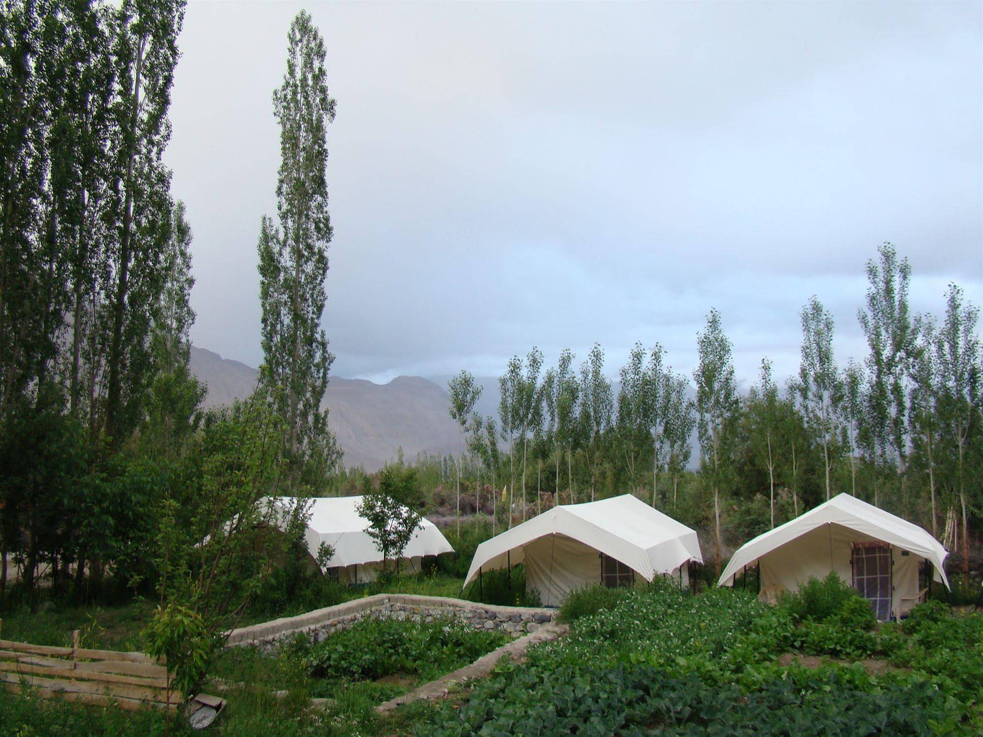 Double Humped Camp - Hunder