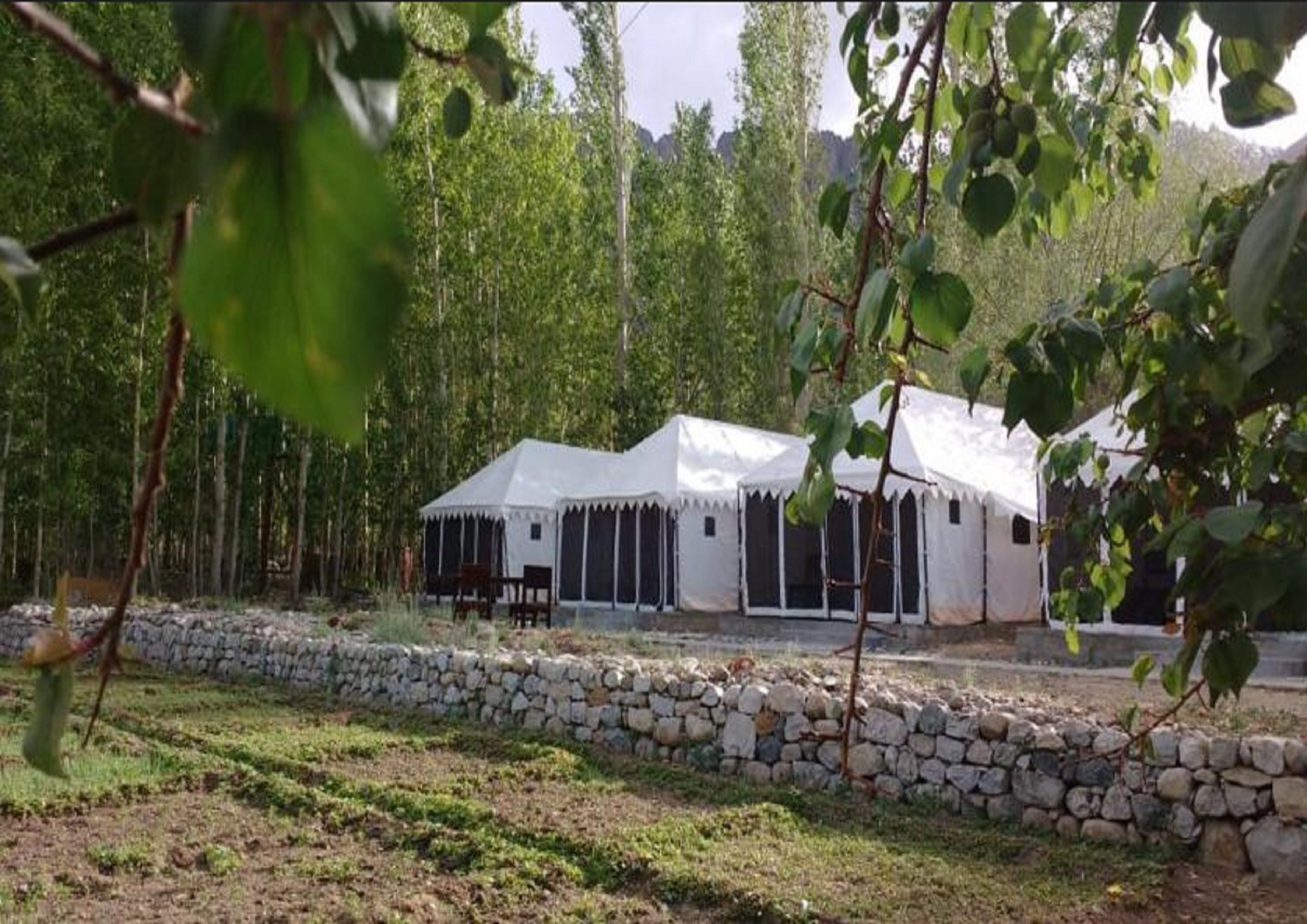 Ladakh Tarrain Camp