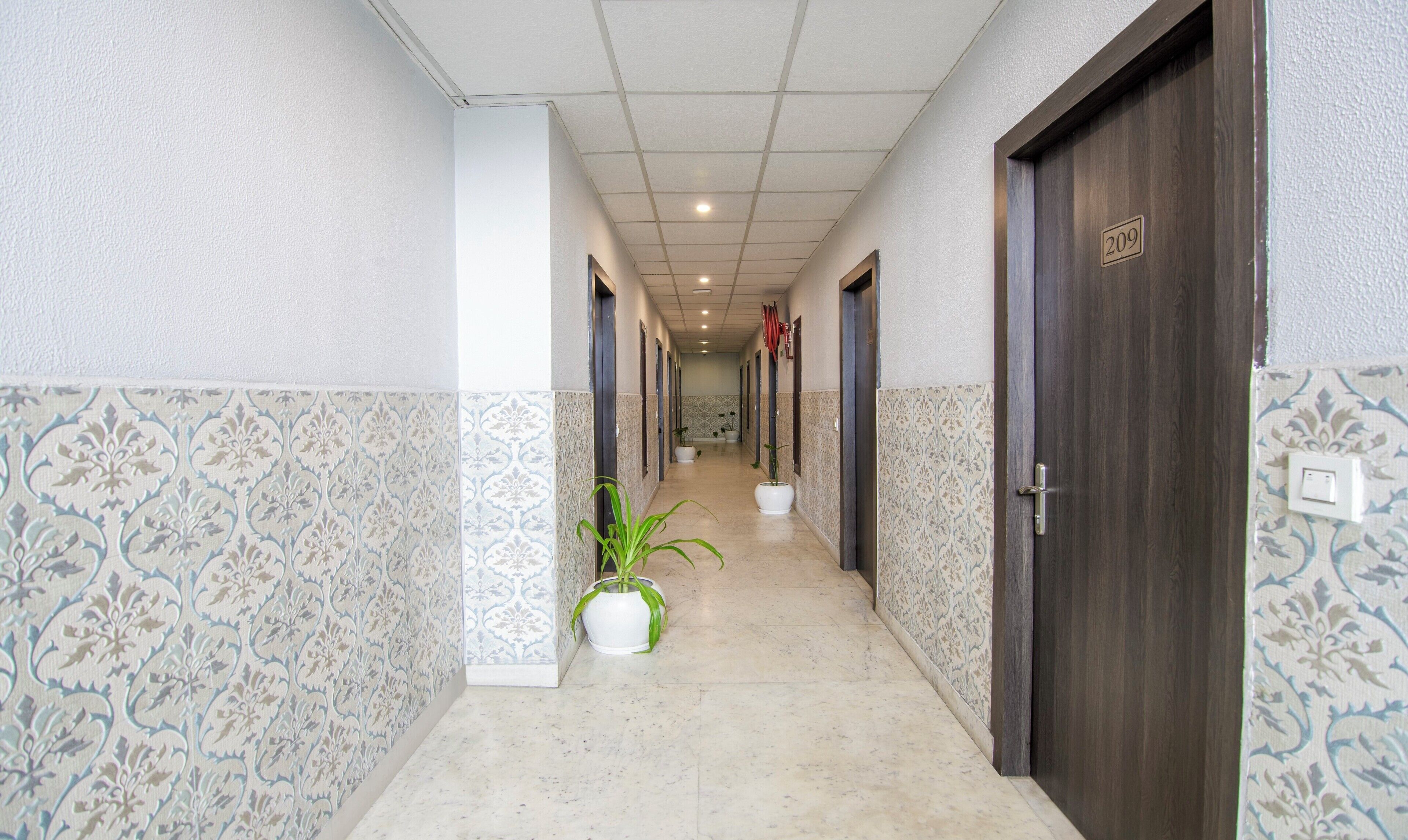 Treebo Trinetar International