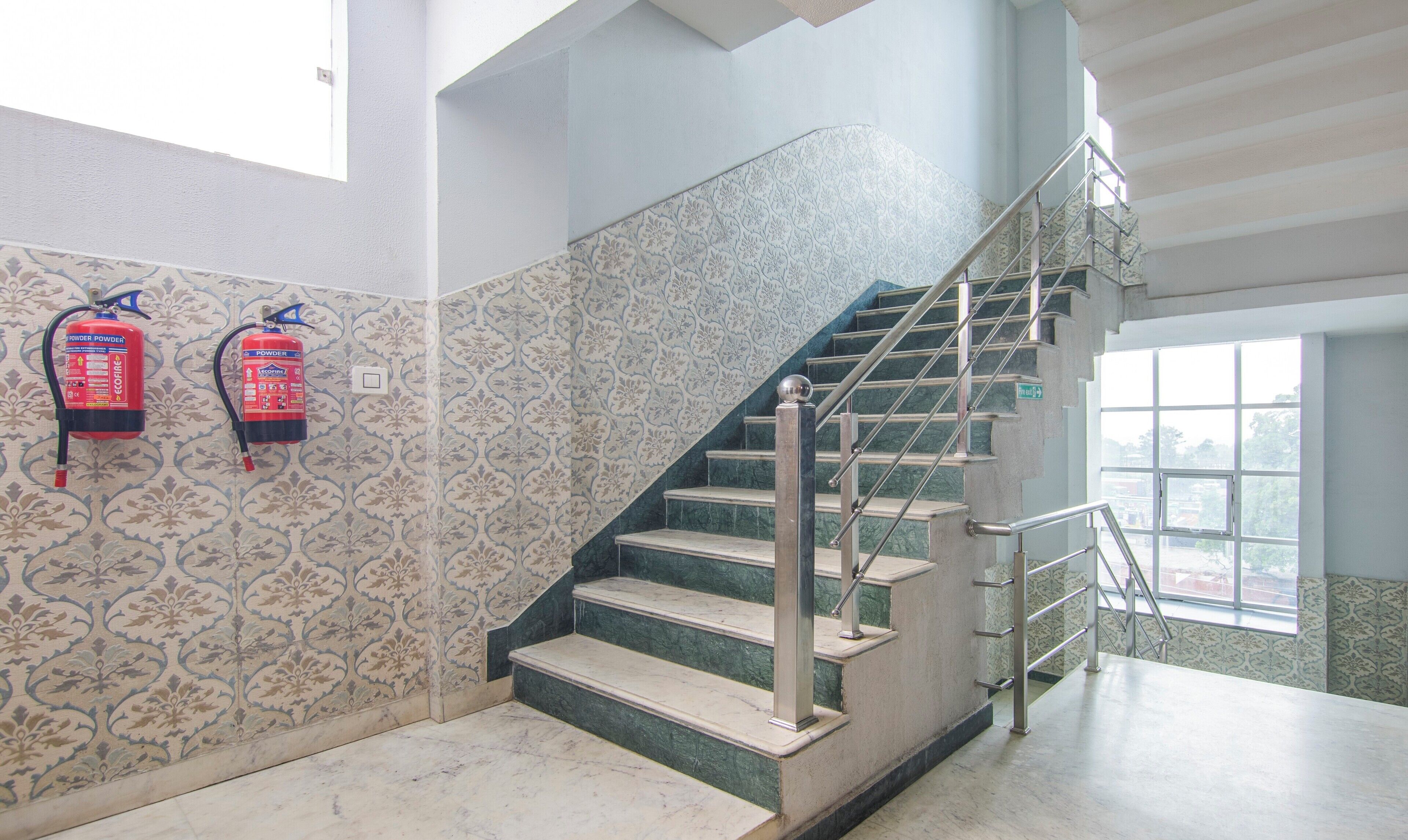 Treebo Trinetar International