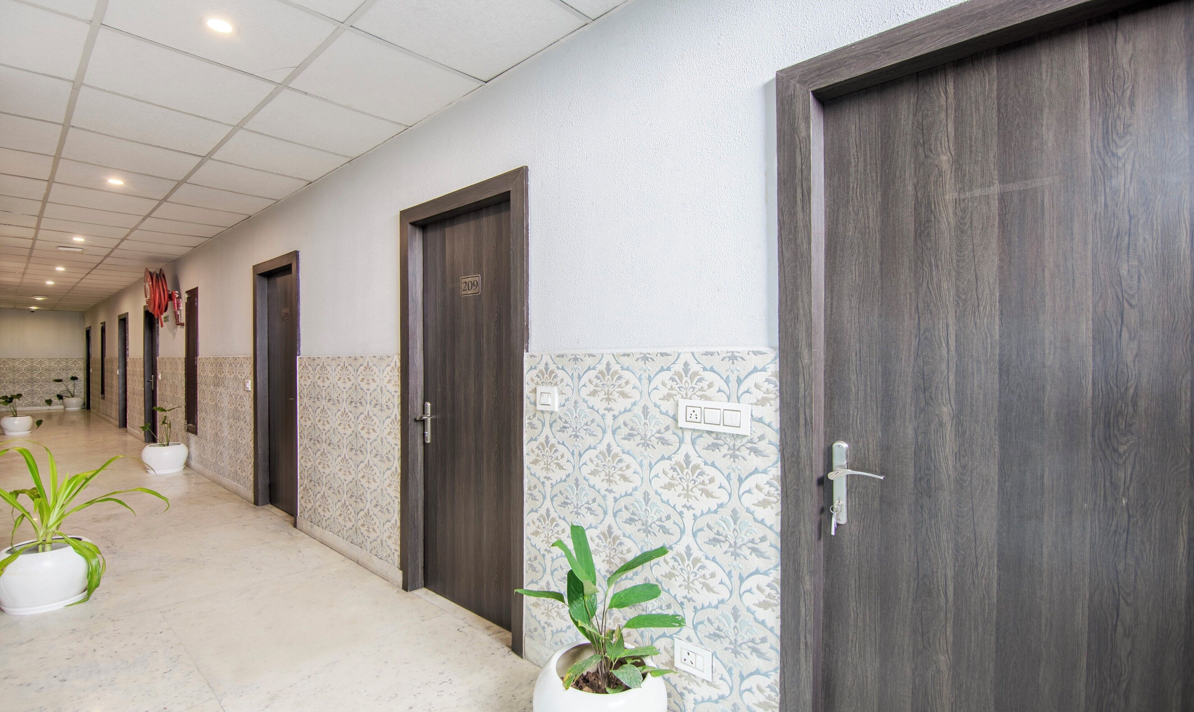 Treebo Trinetar International