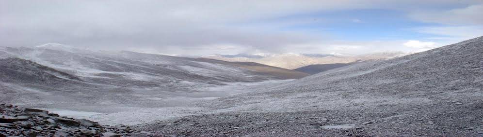 Mystique Meadows Camp