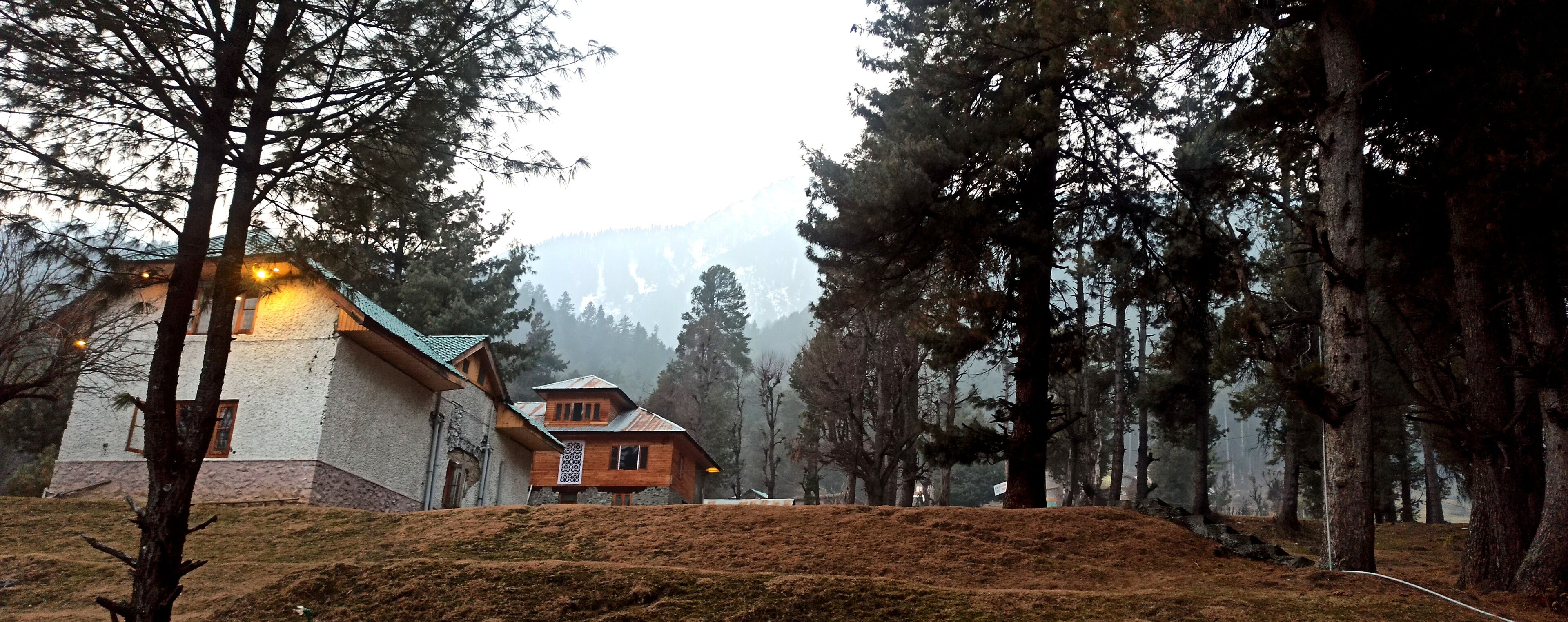Pahalgam Woods