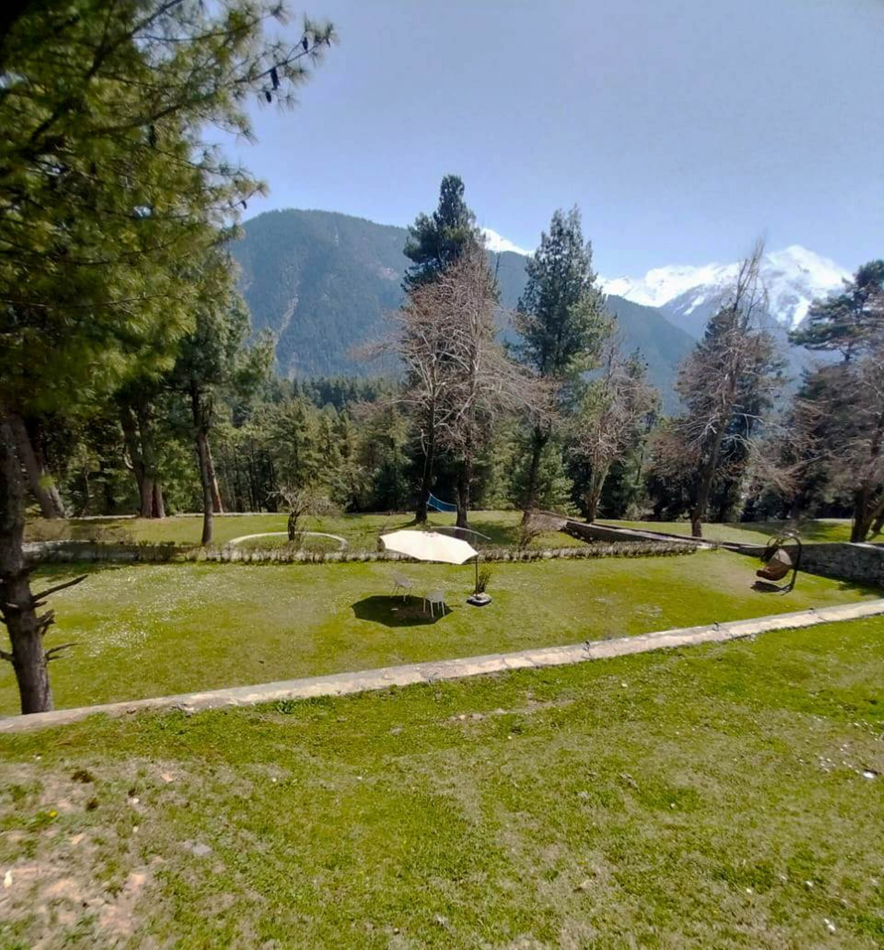 Pahalgam Woods