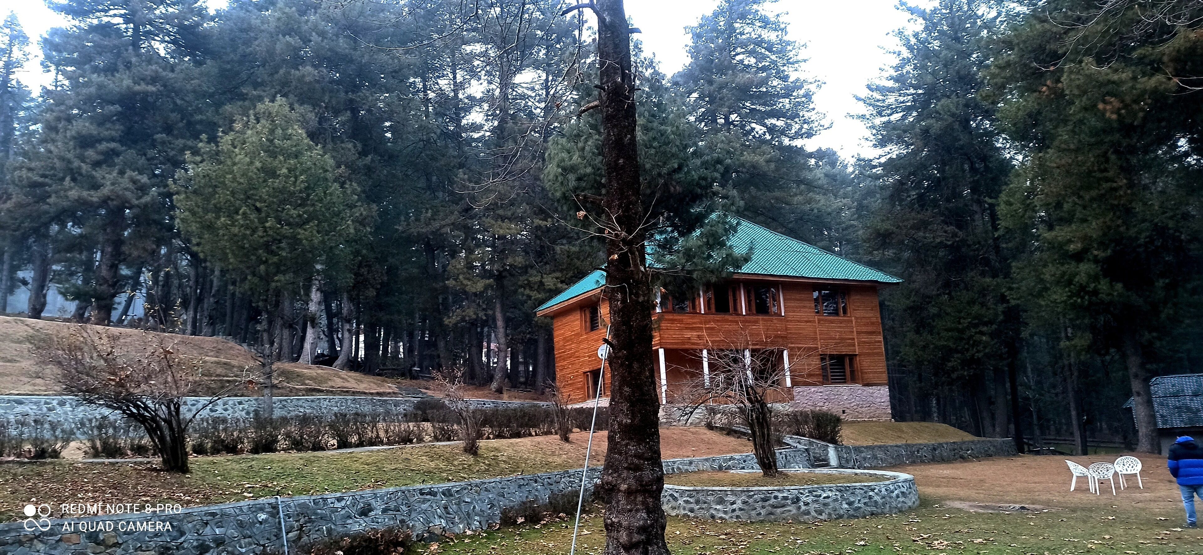 Pahalgam Woods