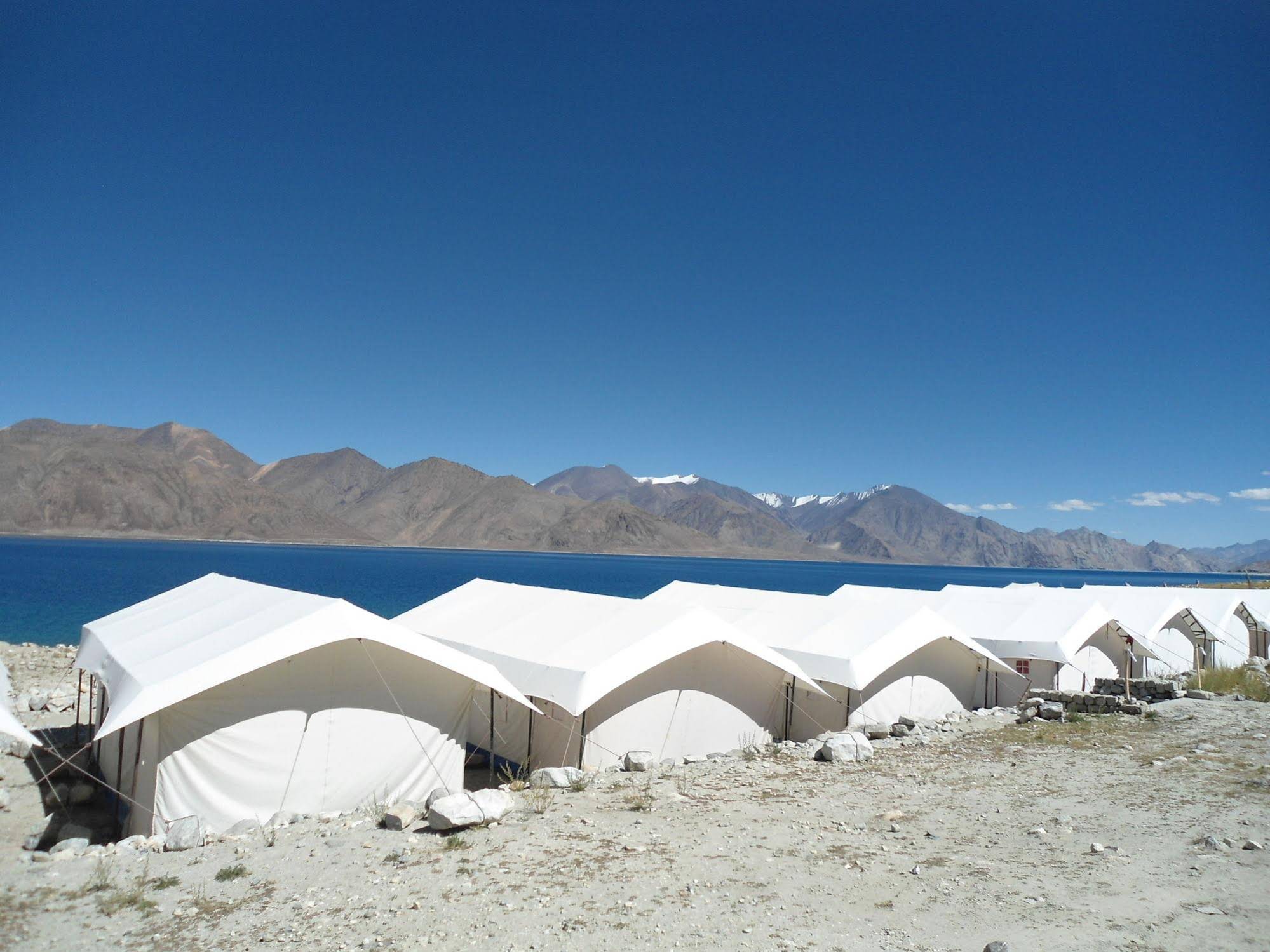 Royal Camp - Pangong