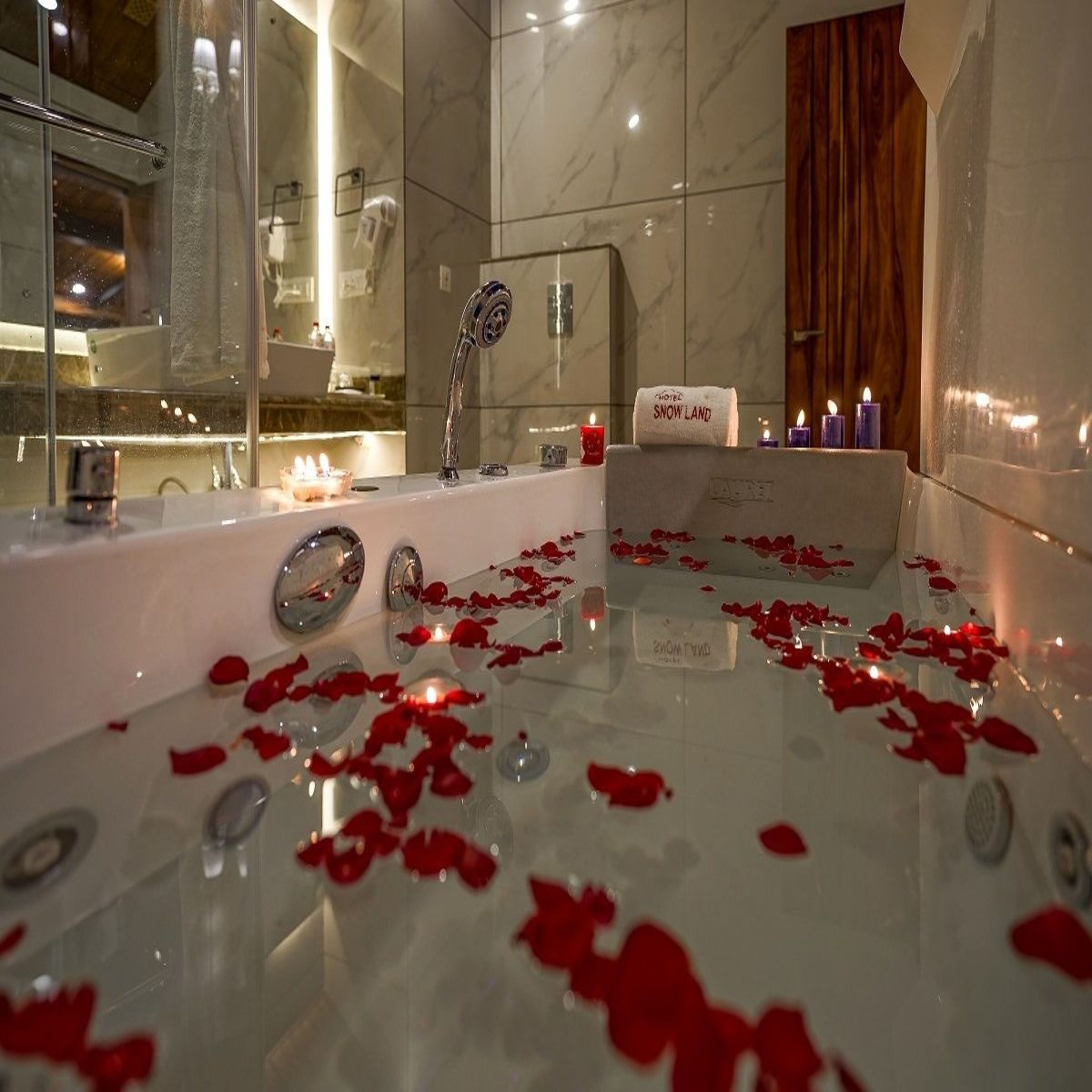 Hotel Snow Land Srinagar