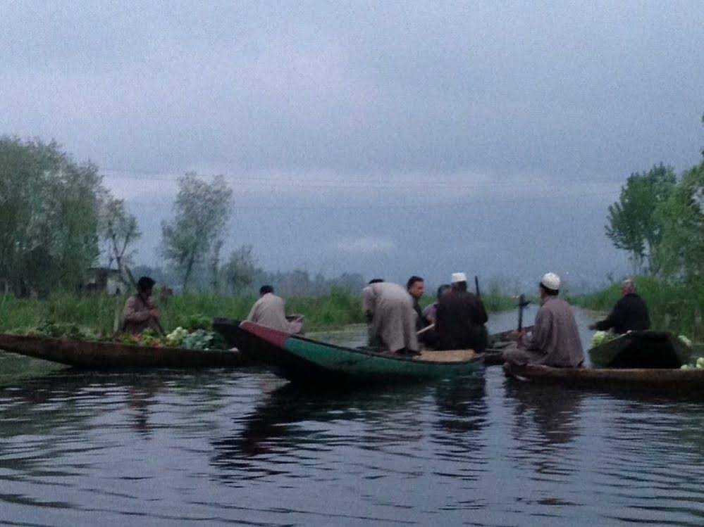Houseboat Lily of Nageen
