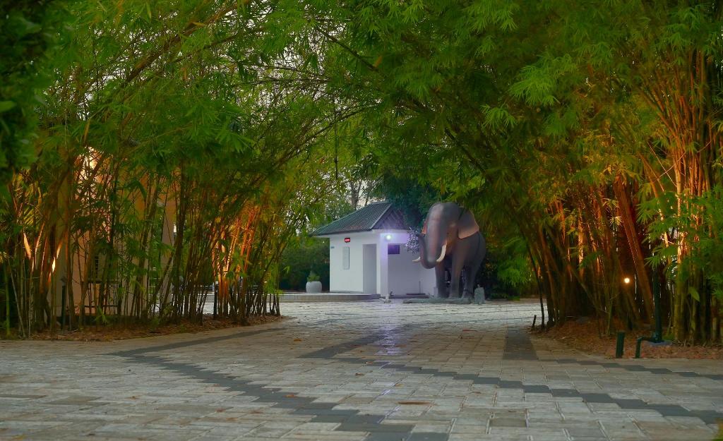 Contour Backwaters Resort & Convention Center