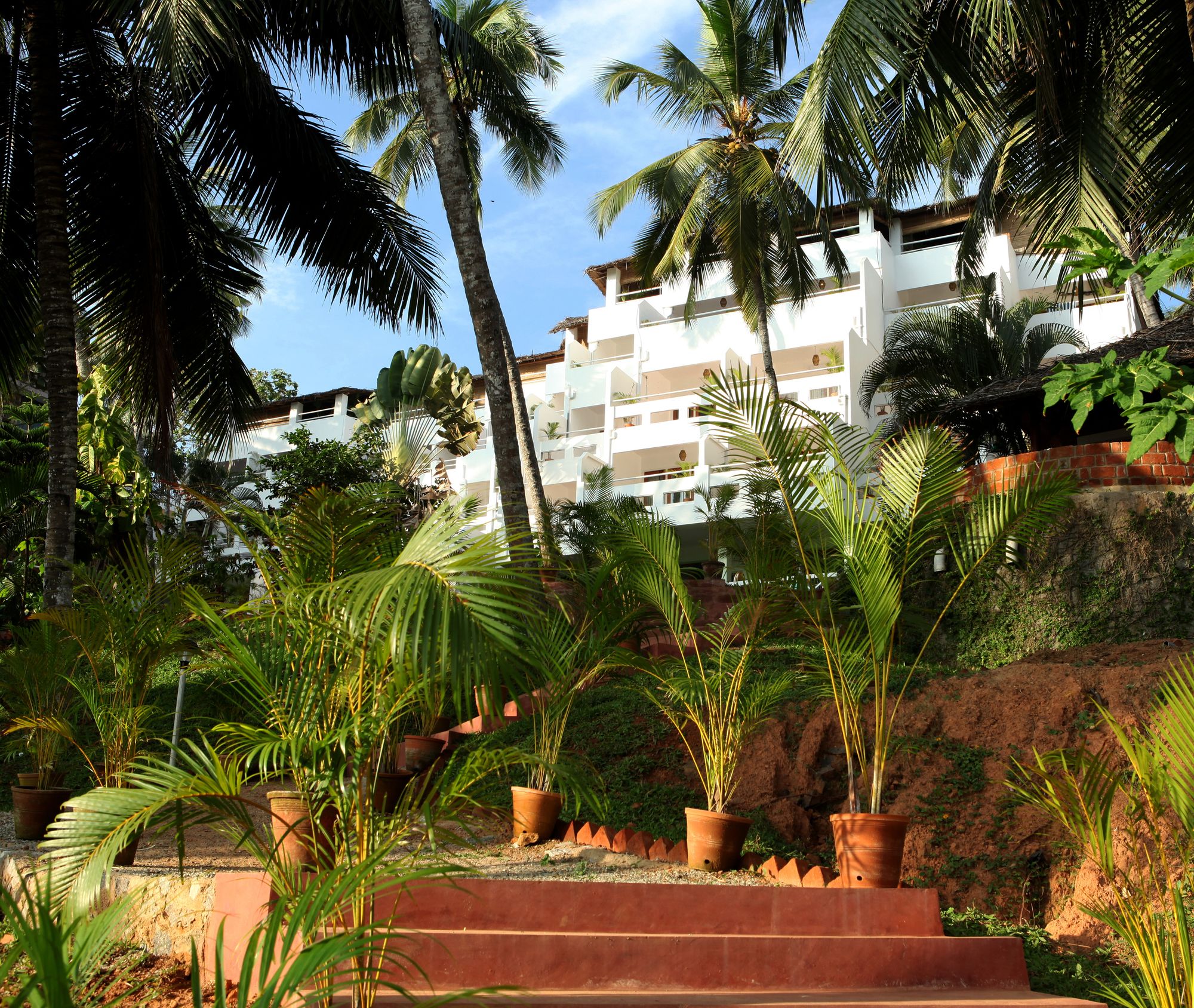 Soma Palmshore