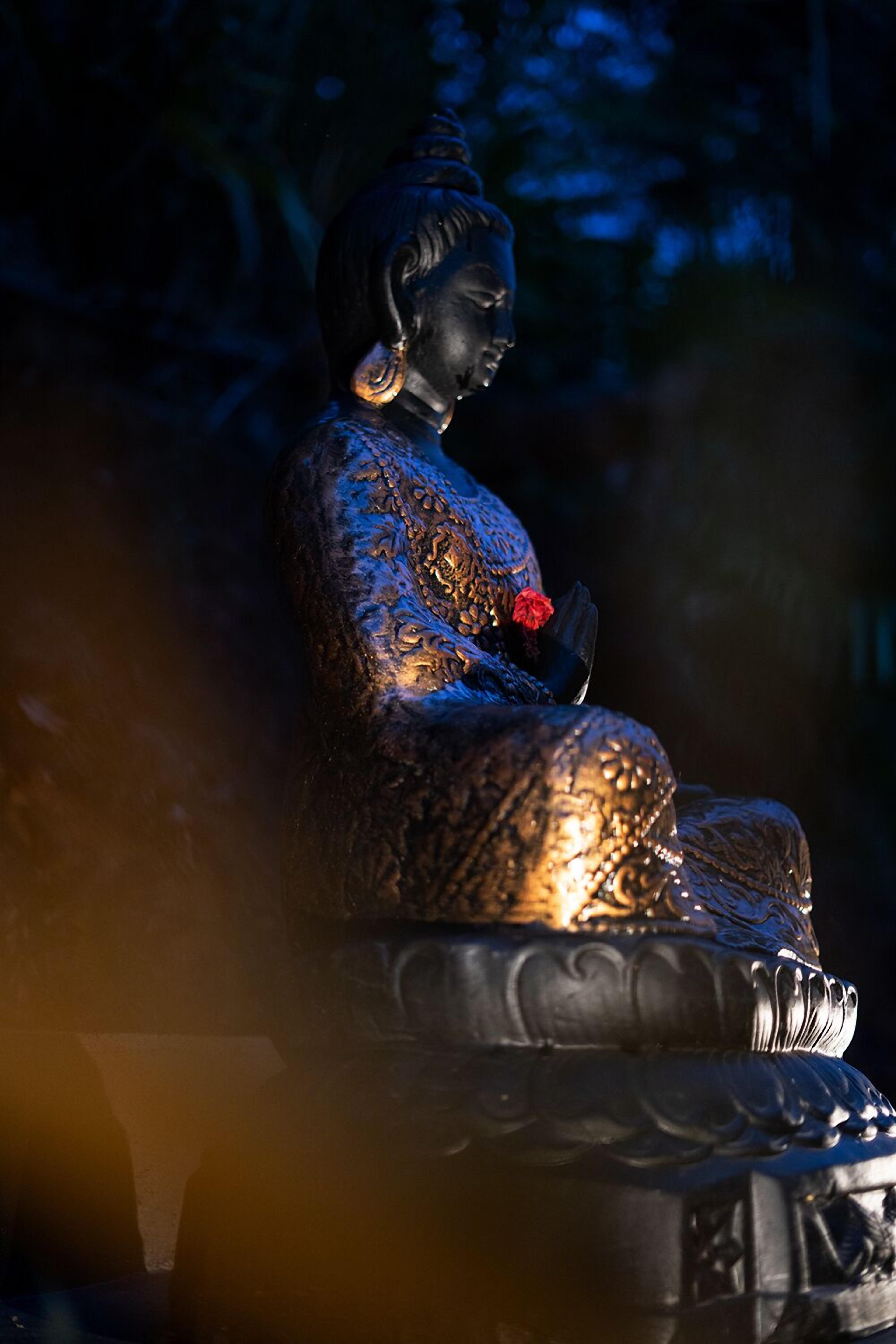 Viceroy Luxury Mountain Resort And Spa