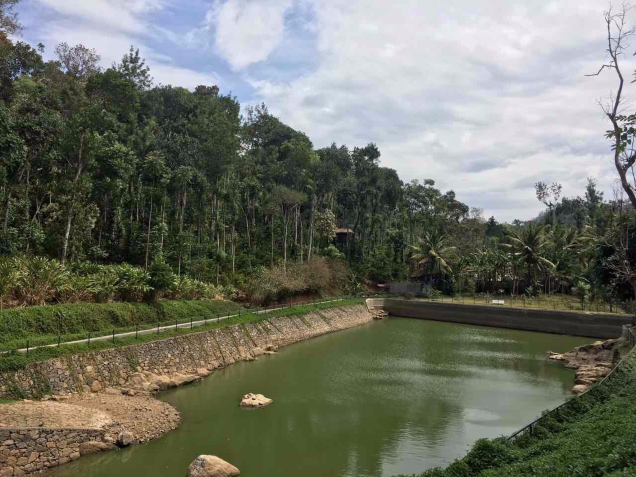 Amaana Plantation Resort
