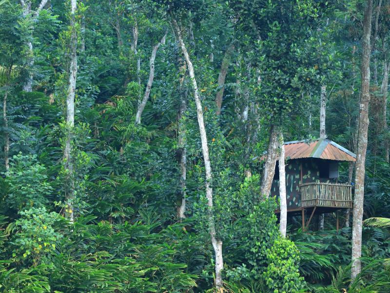 Amaana Plantation Resort