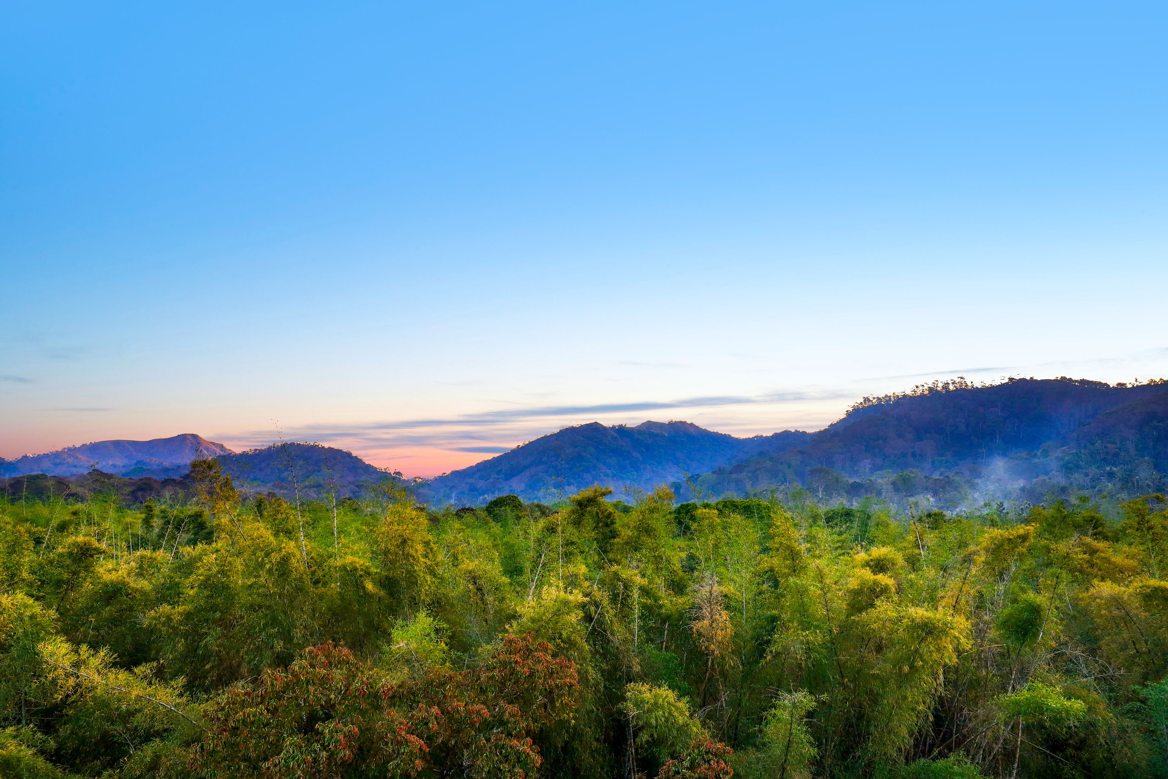 Keys Prima By Lemon Tree Hotels Thekkady