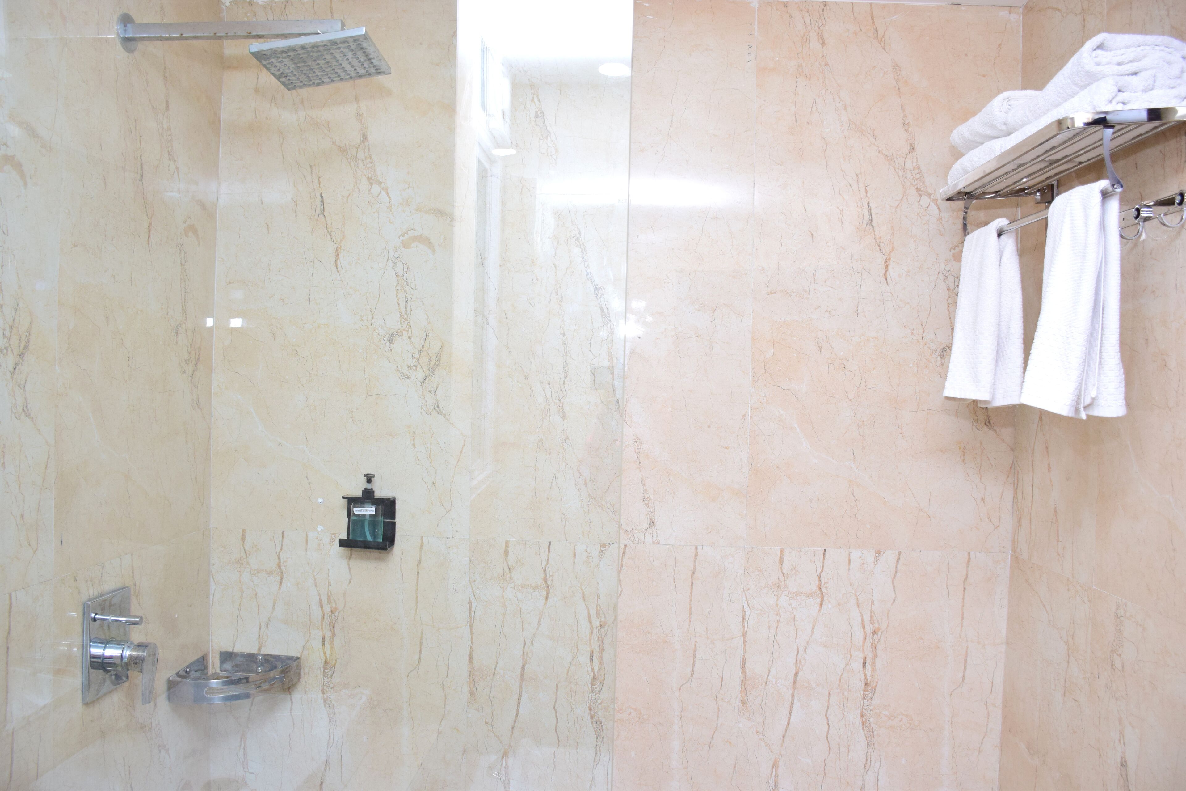 The Royal Palace By Blues Dewas