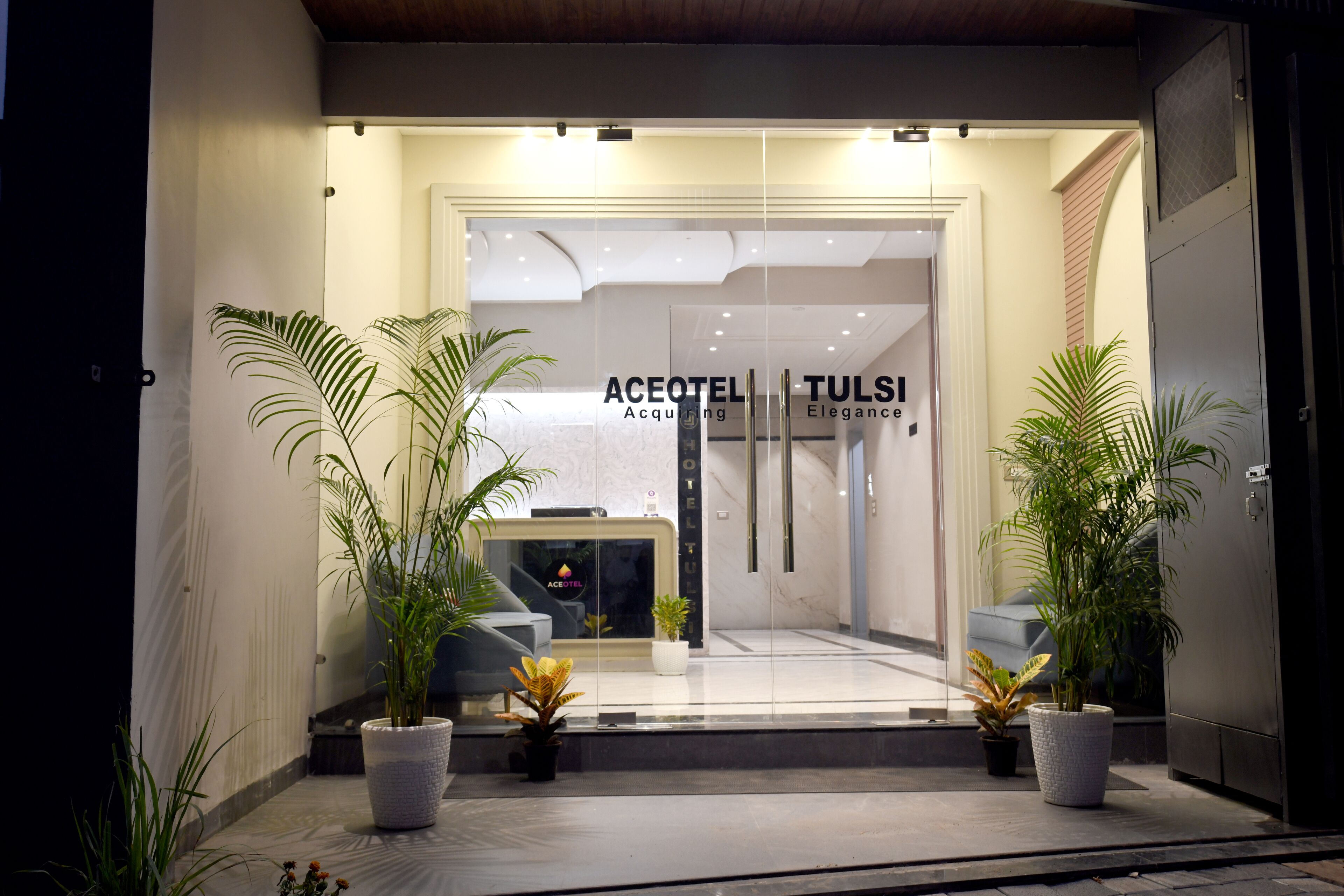 Aceotel Select Tulsi