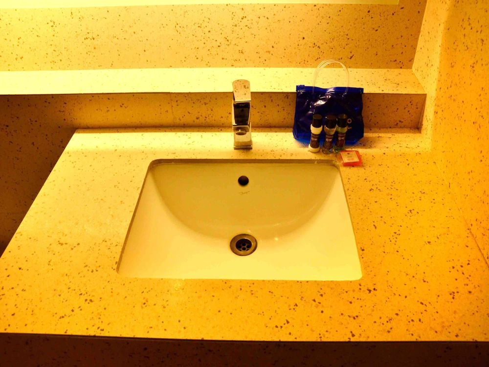 Hotel Balwas International