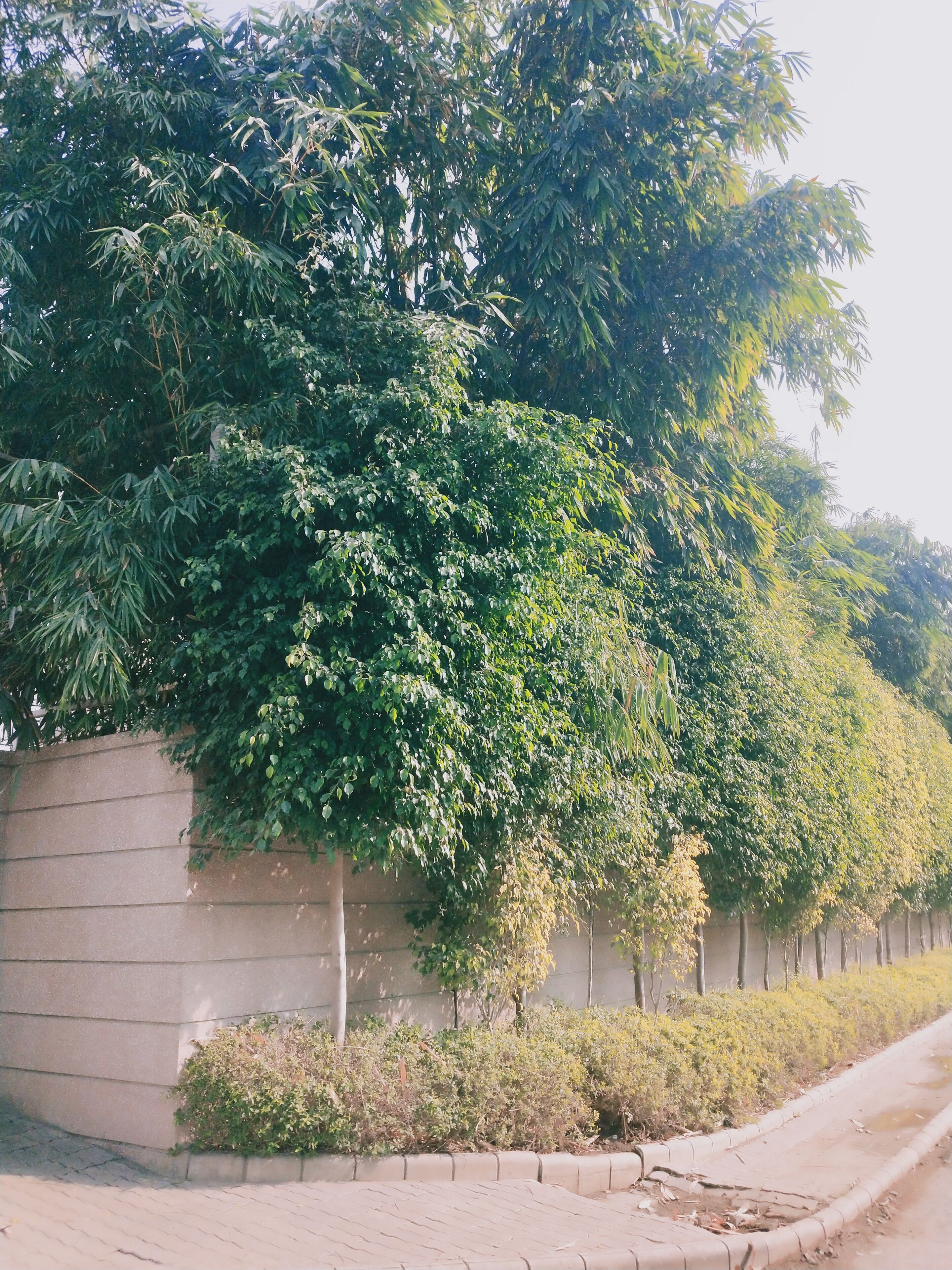 Hotel Raj Palace