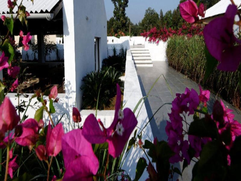 Bagh Tola