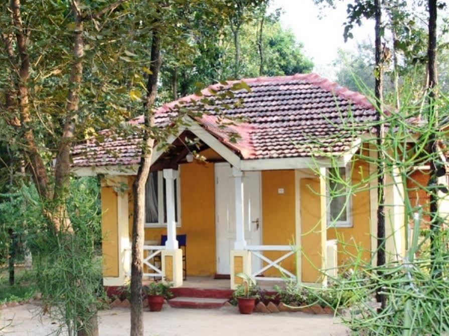 Wild Chalet Resort