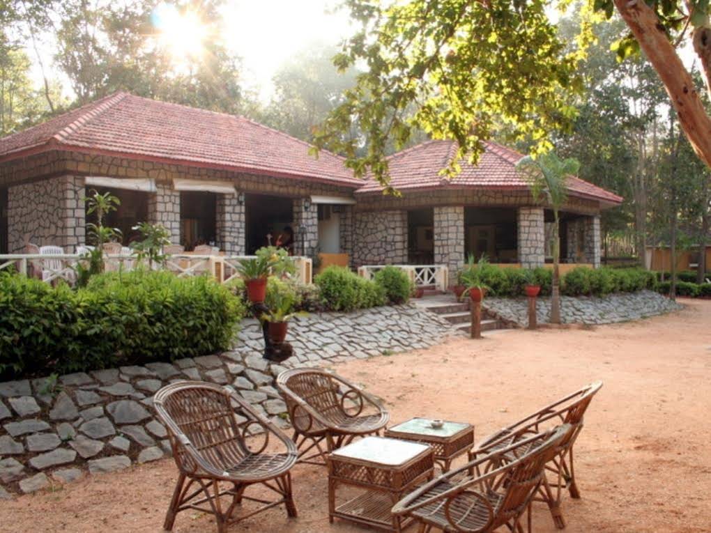 Wild Chalet Resort
