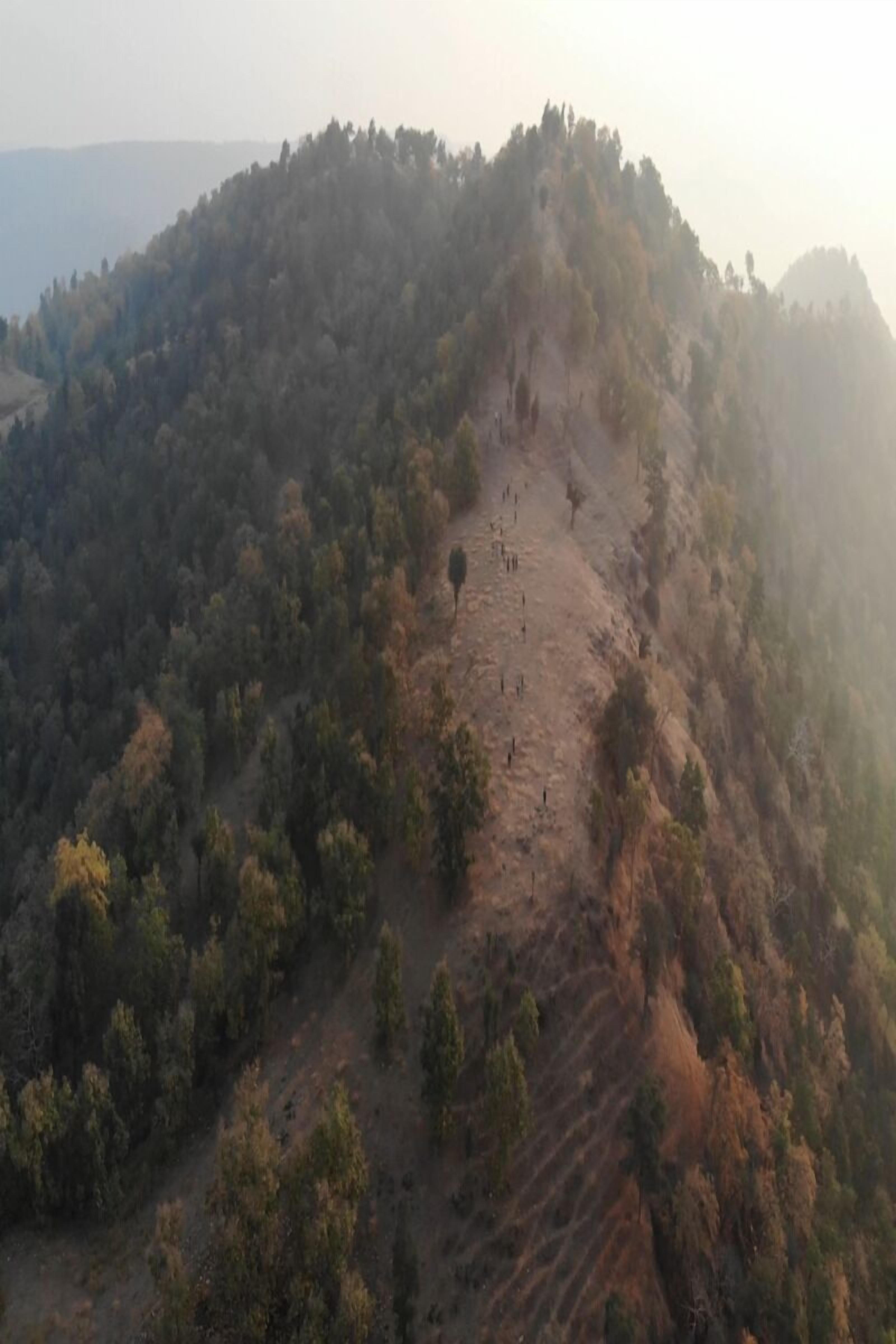 Moustache Kamp Kalakund