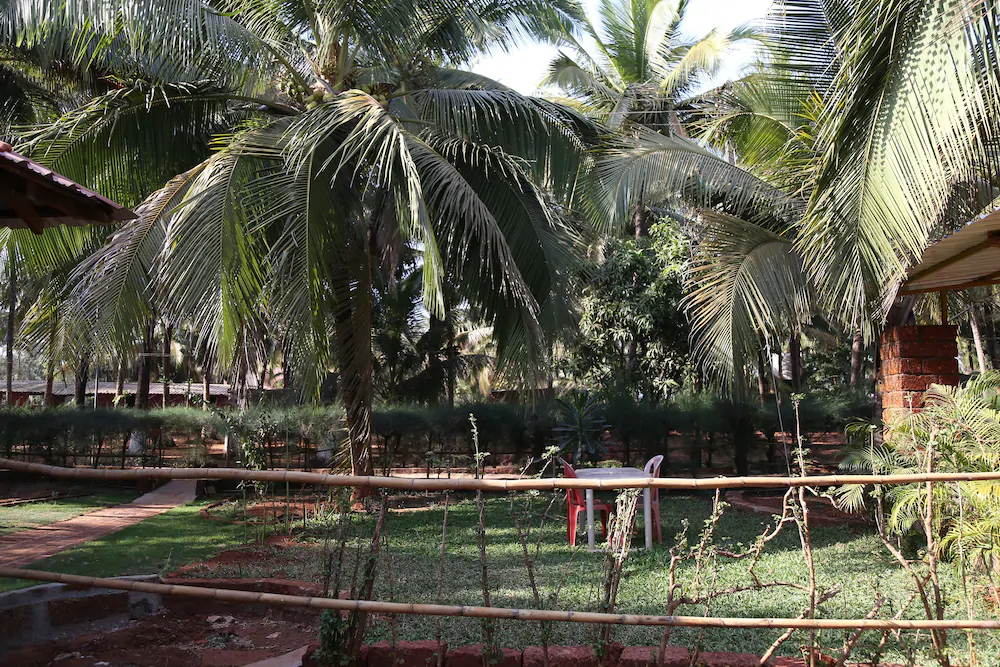 Hotel Daryasarang Palace