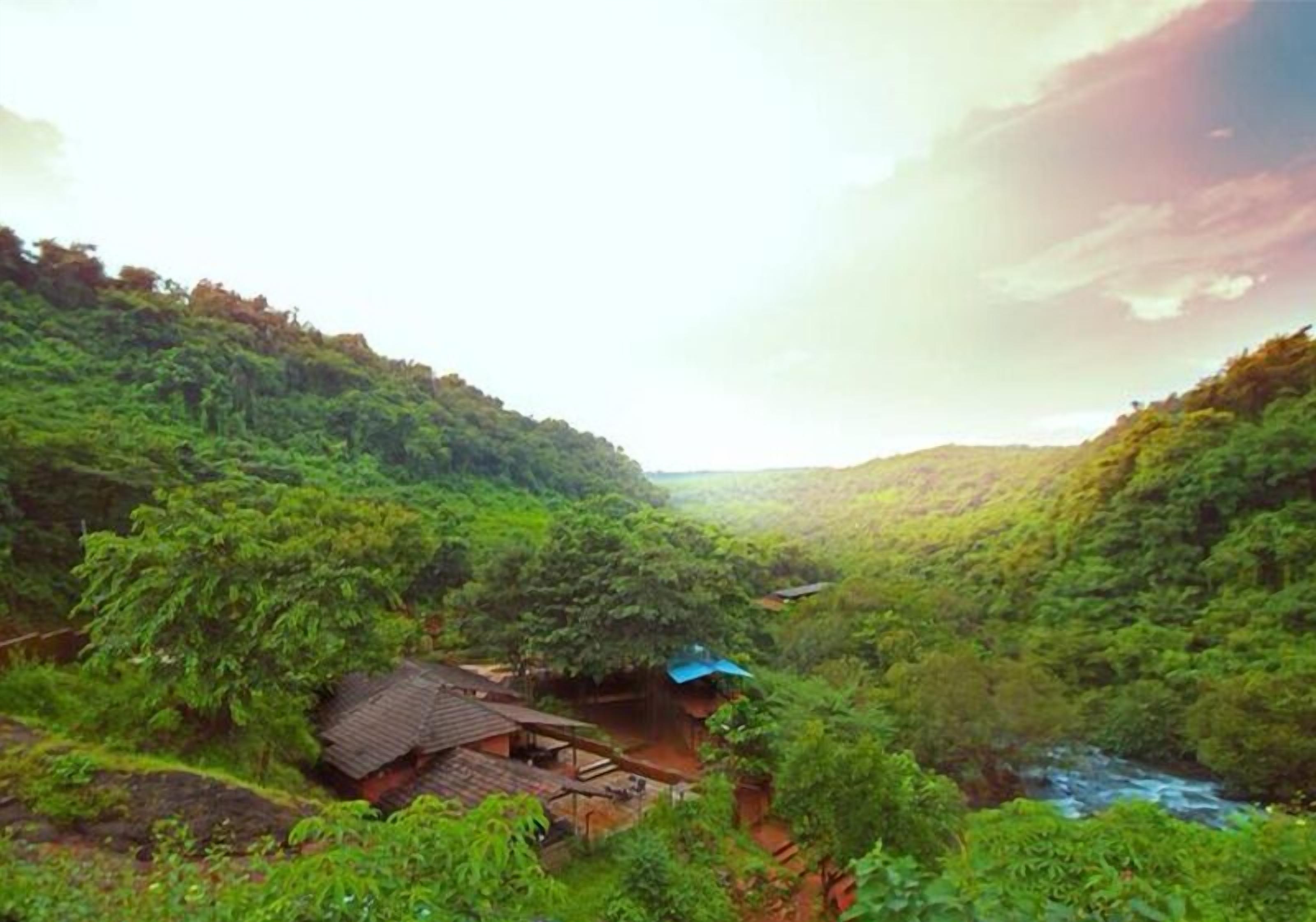 Blue Green Exotica Camping