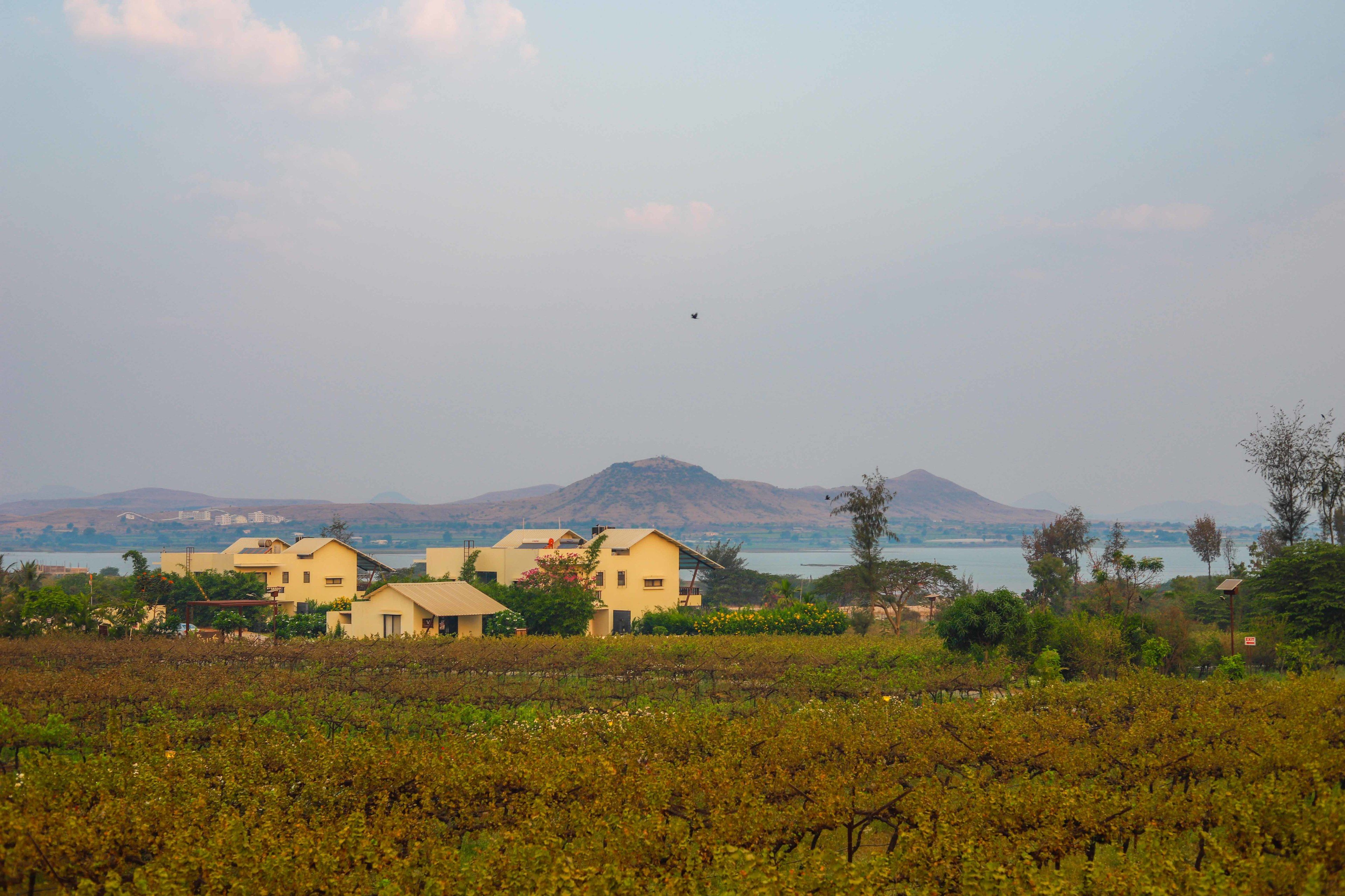 Regenta Resort, Soma Vine Village, Nashik