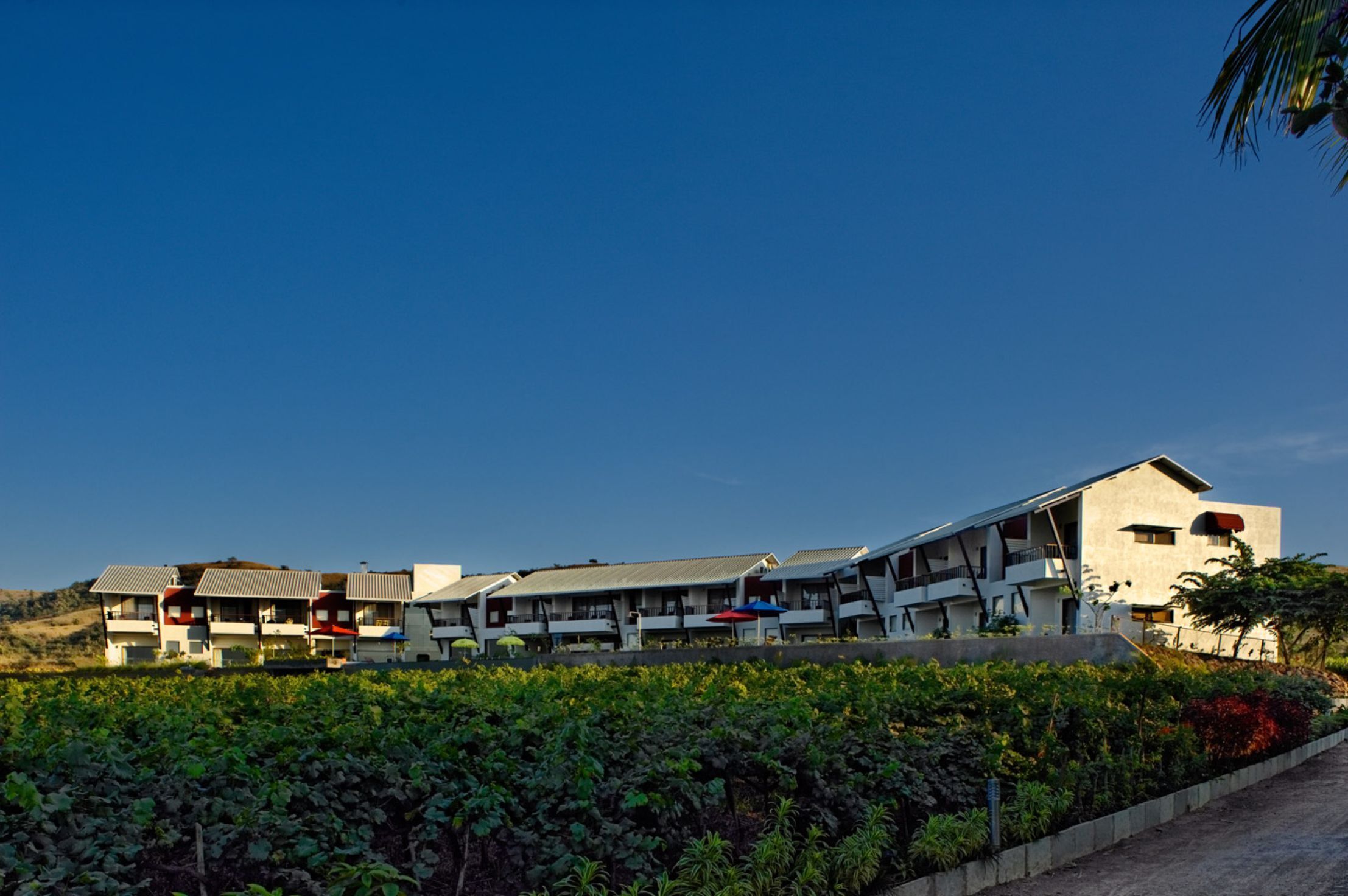Regenta Resort, Soma Vine Village, Nashik
