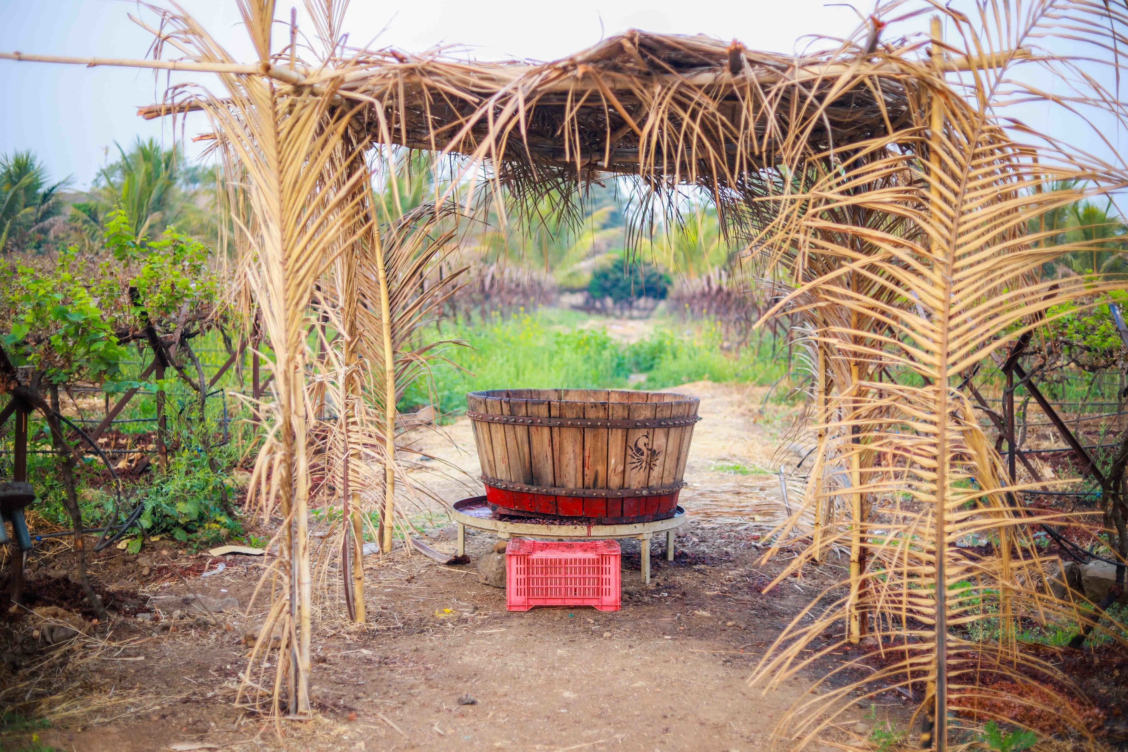 Regenta Resort, Soma Vine Village, Nashik