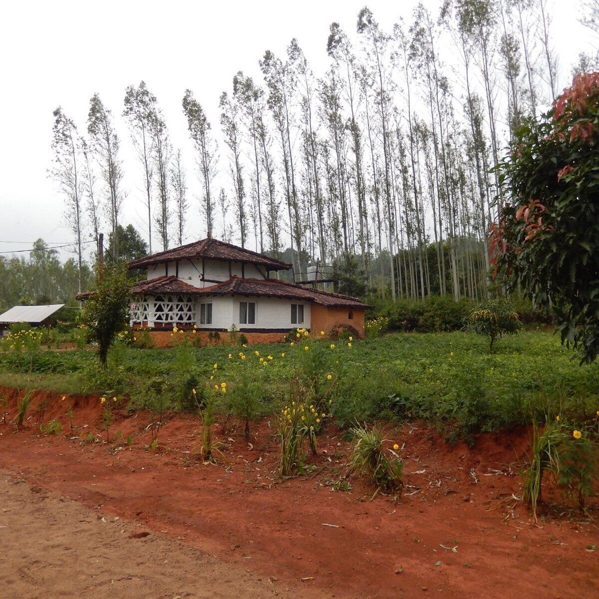 Desia Eco Tourism Camp