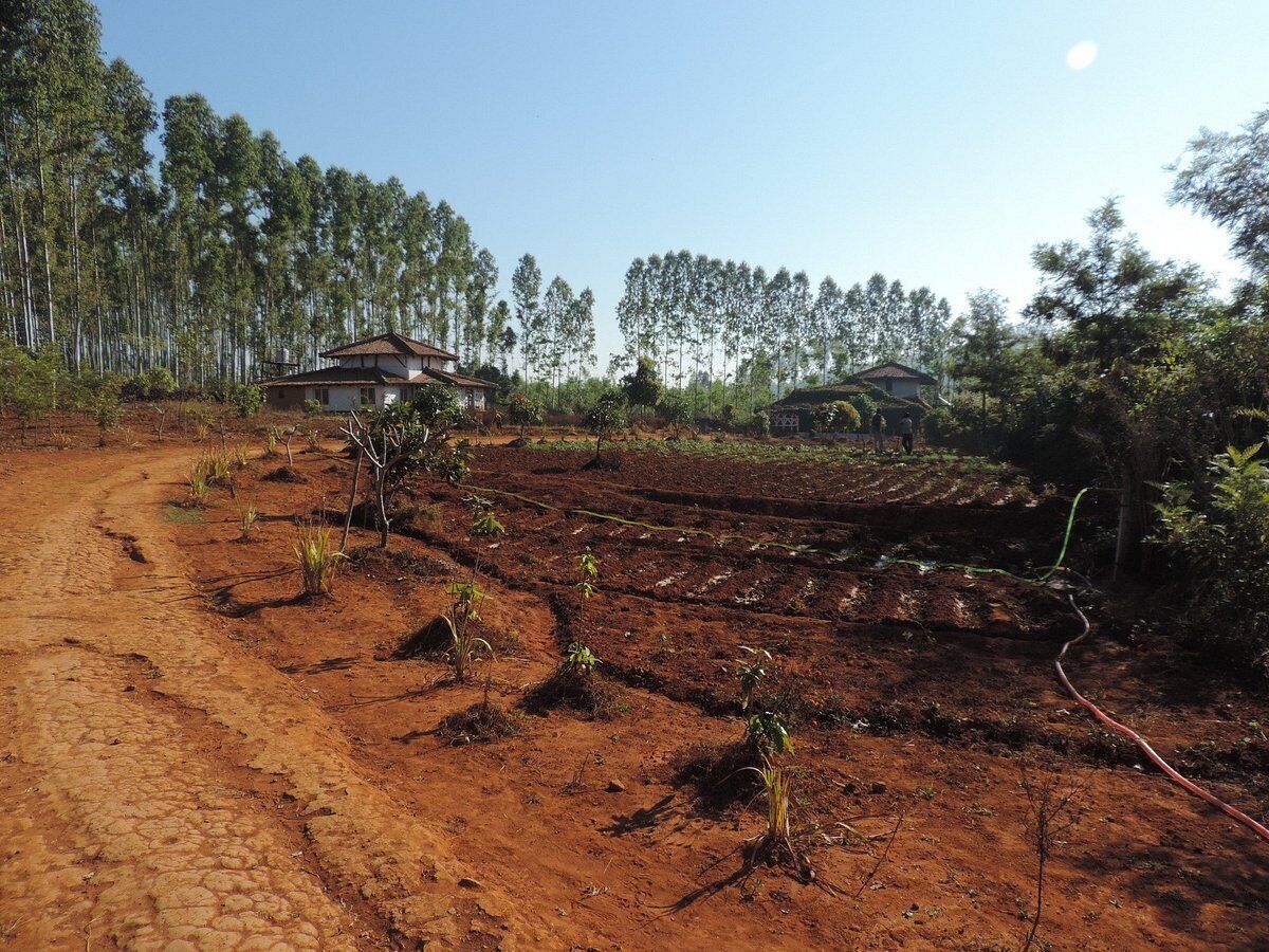 Desia Eco Tourism Camp