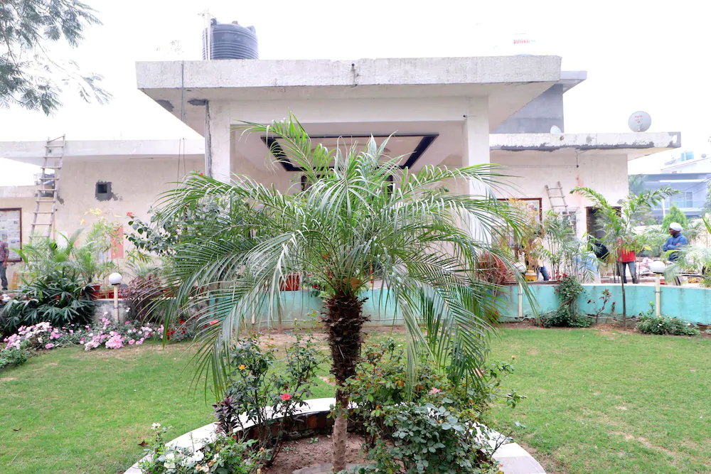Sheela Stays By OYO Rooms