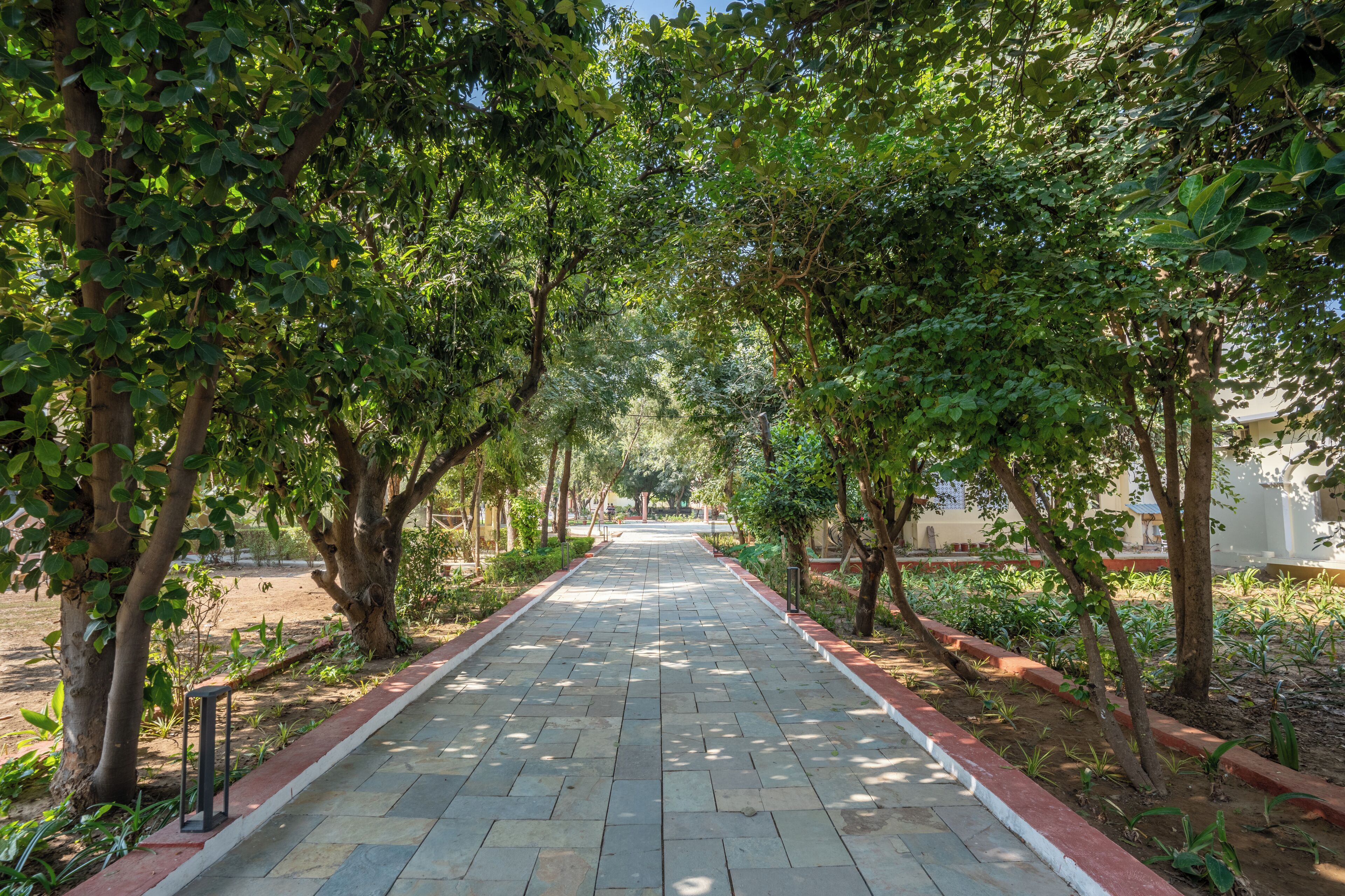 Justa Alwarbagh Resort & Convention Centre