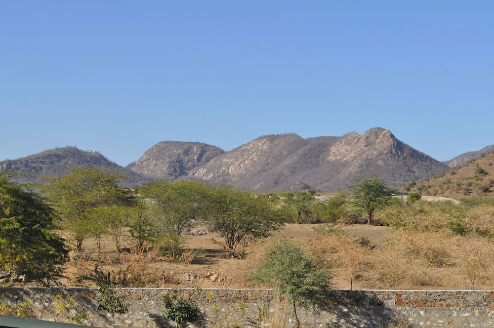 Sariska Manor