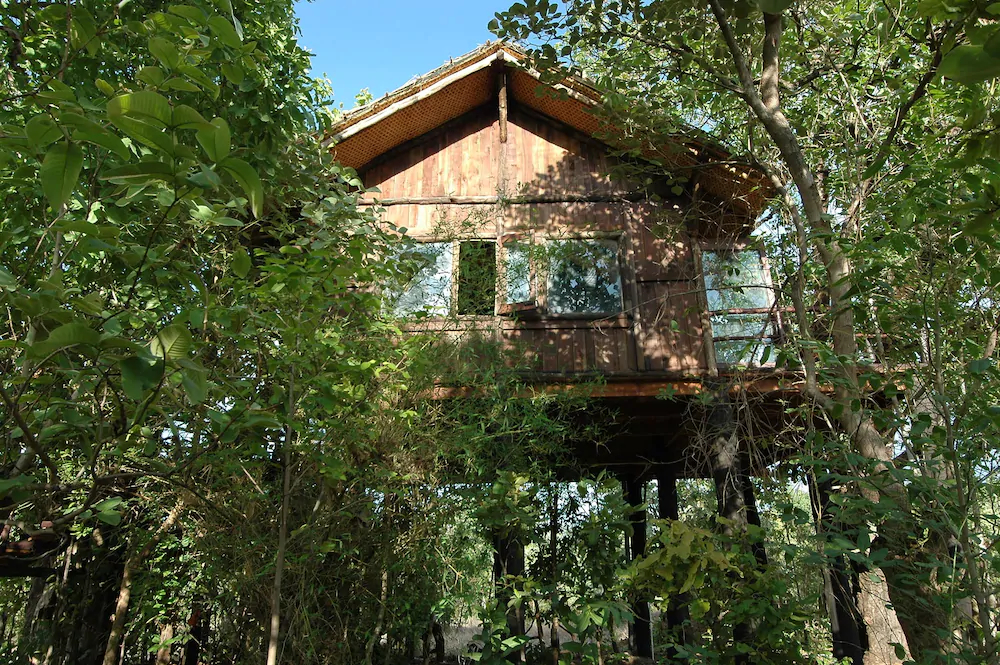 Pugdundee Safaris Tree House Hideaway
