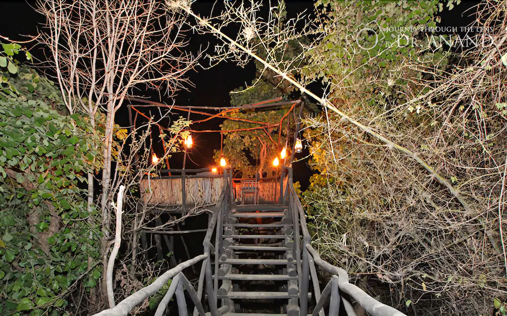 Pugdundee Safaris Tree House Hideaway