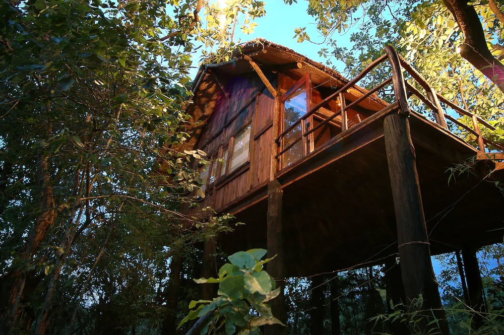 Pugdundee Safaris Tree House Hideaway