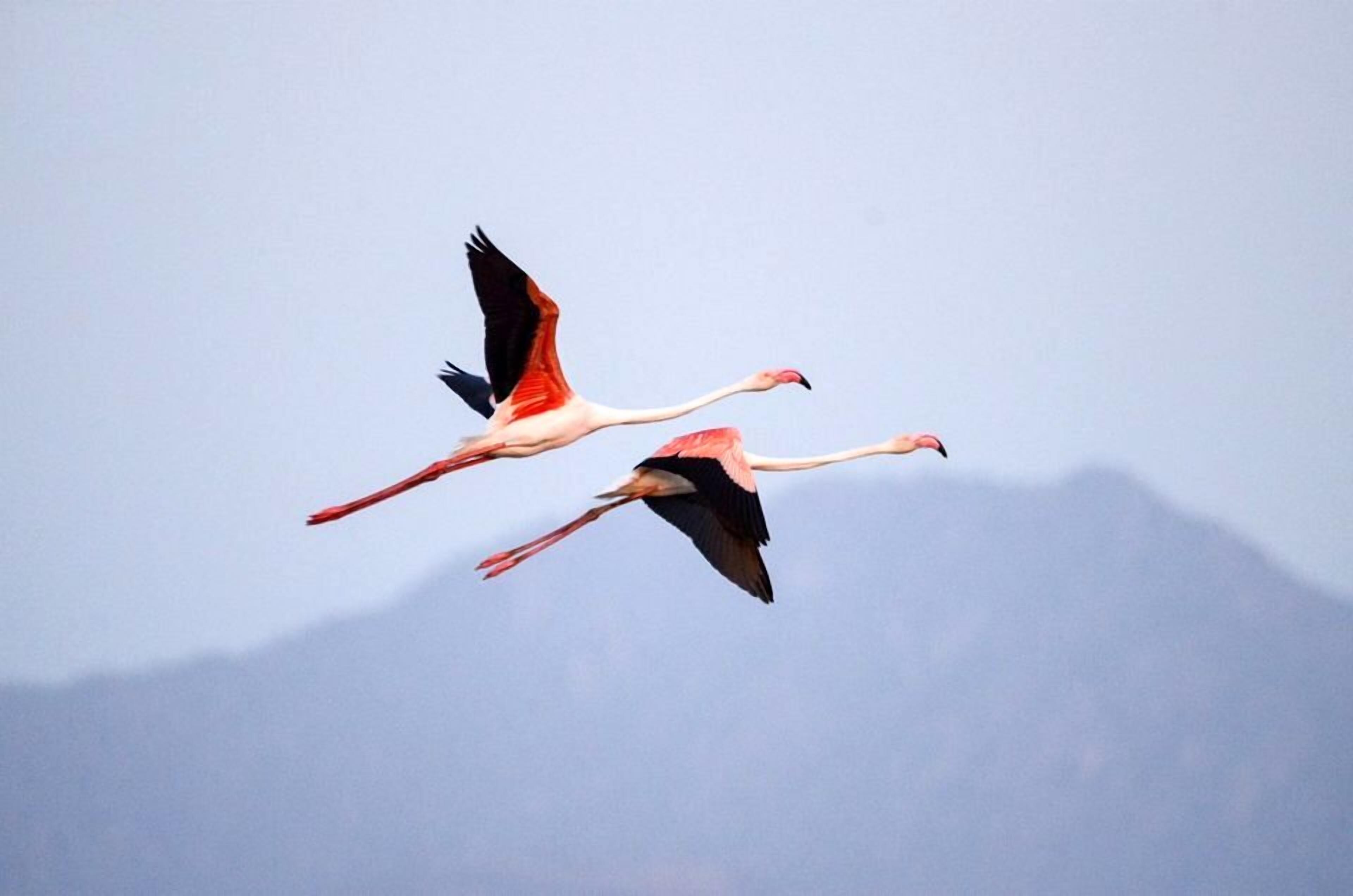 Thour Nature Resorts